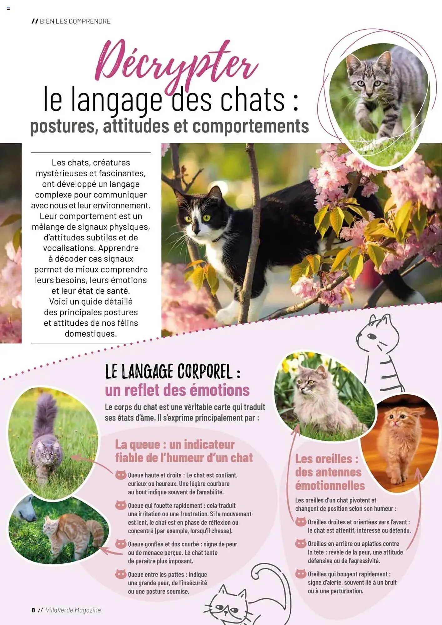 Catalogue VillaVerde du 20 mai au 1 janvier 2026 - Catalogue page 8