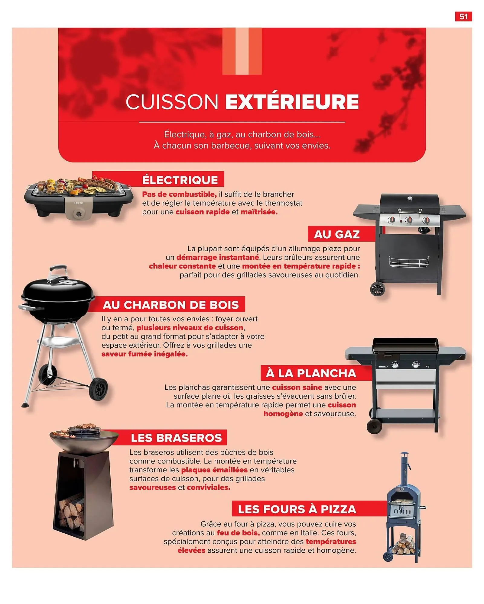Catalogue Carrefour du 24 mars au 11 mai 2026 - Catalogue page 51