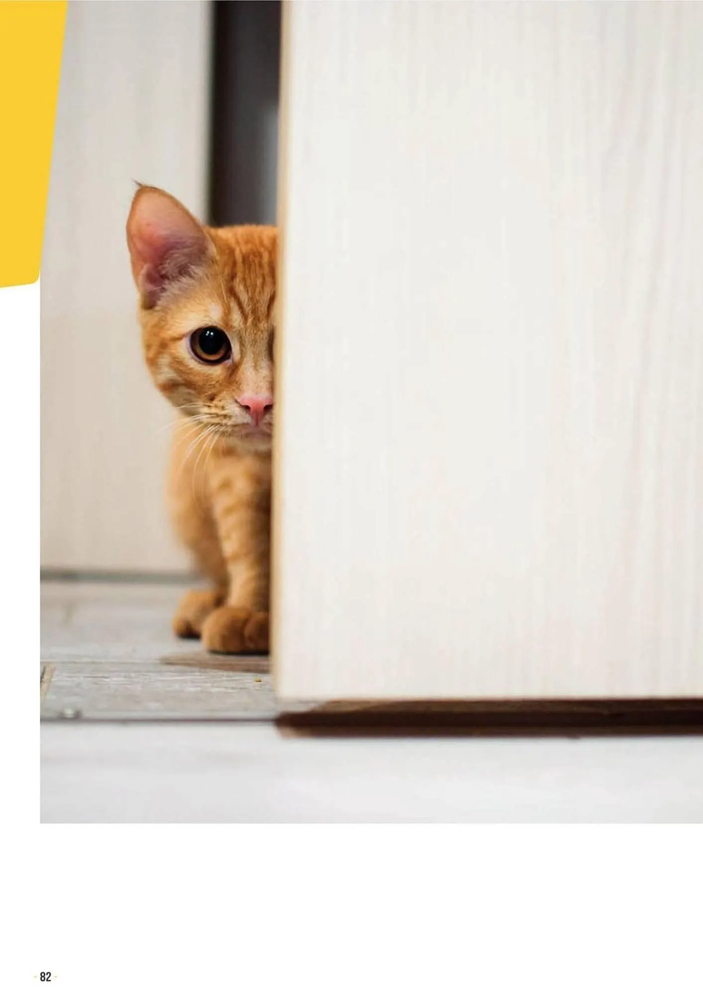 Catalogue Doras du 15 mars au 31 août 2025 - Catalogue page 96