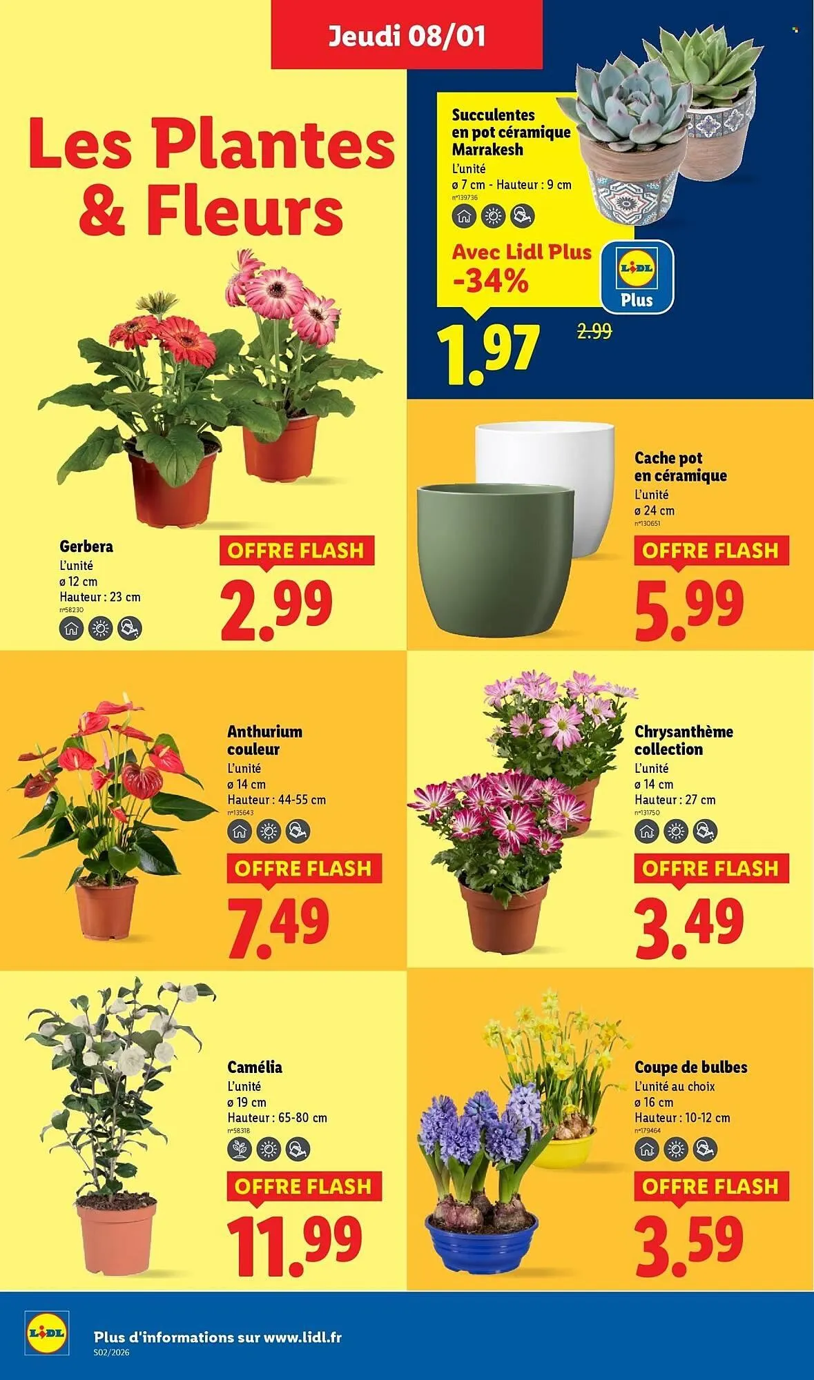 Catalogue Lidl du 8 janvier au 14 janvier 2026 - Catalogue page 28