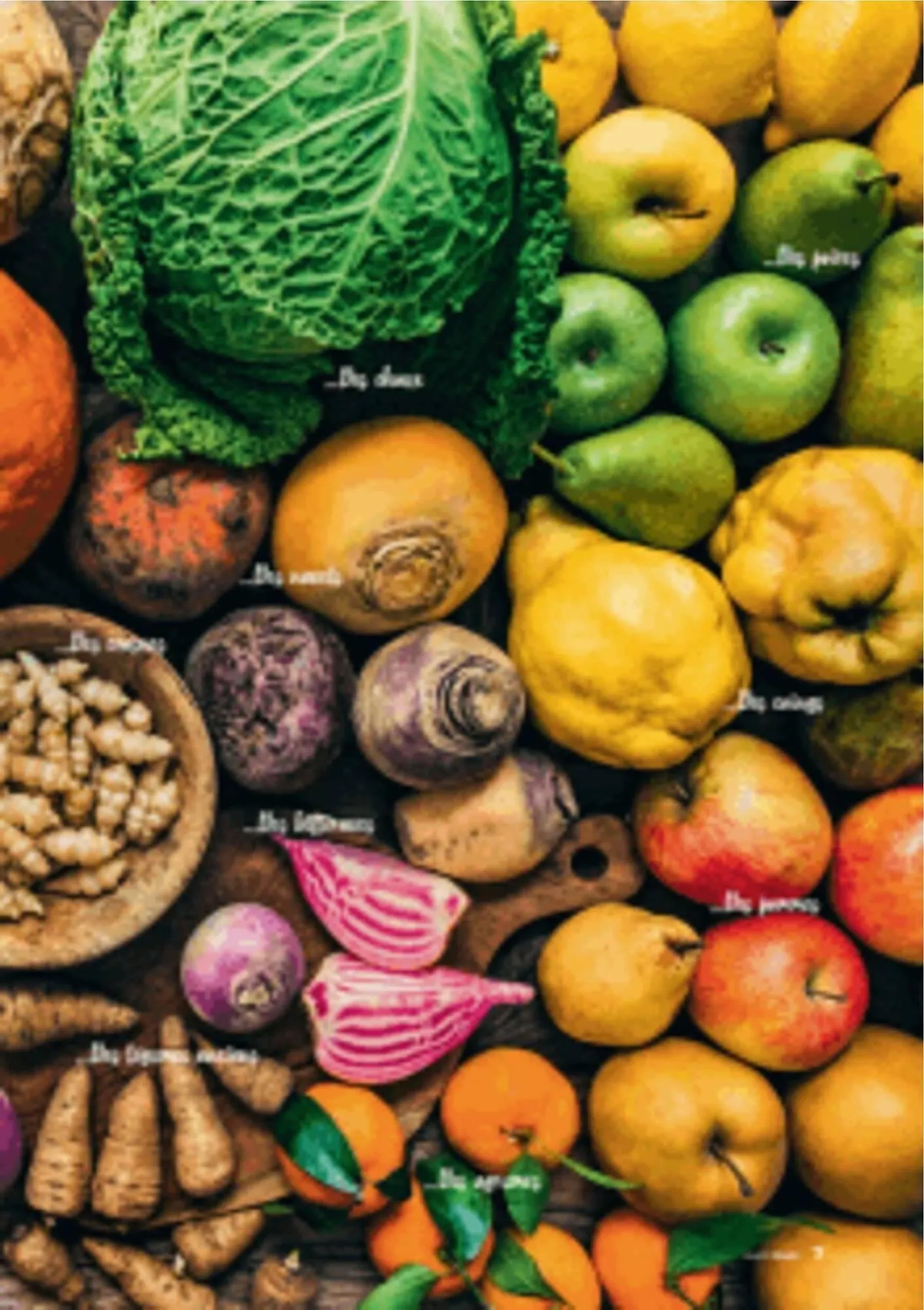 Catalogue Grand Frais du 12 décembre au 20 mars 2026 - Catalogue page 7