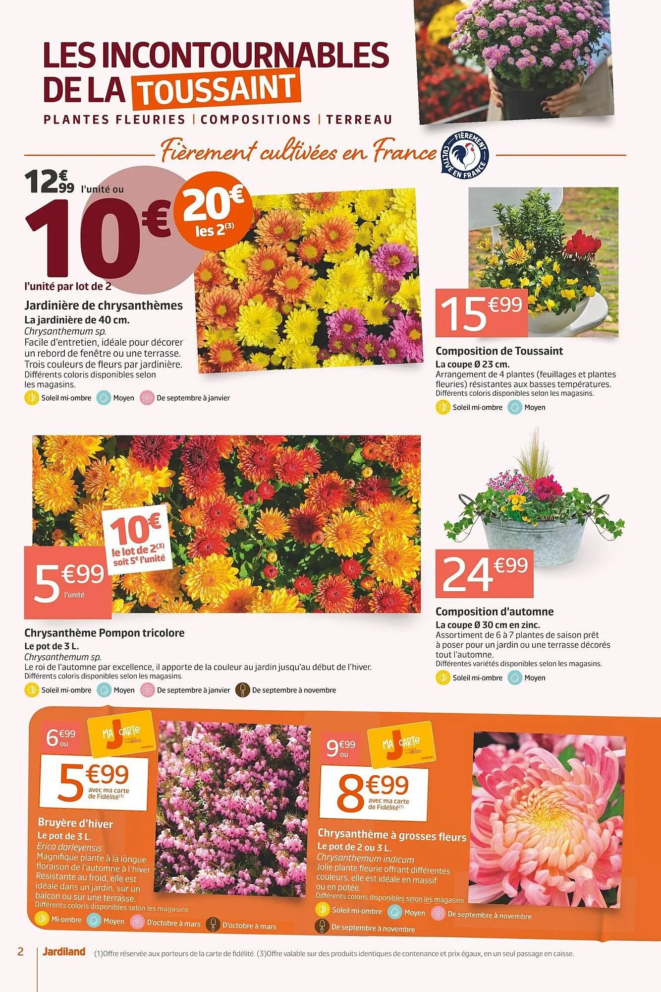 Catalogue Jardiland du 22 octobre au 2 novembre 2025 - Catalogue page 2