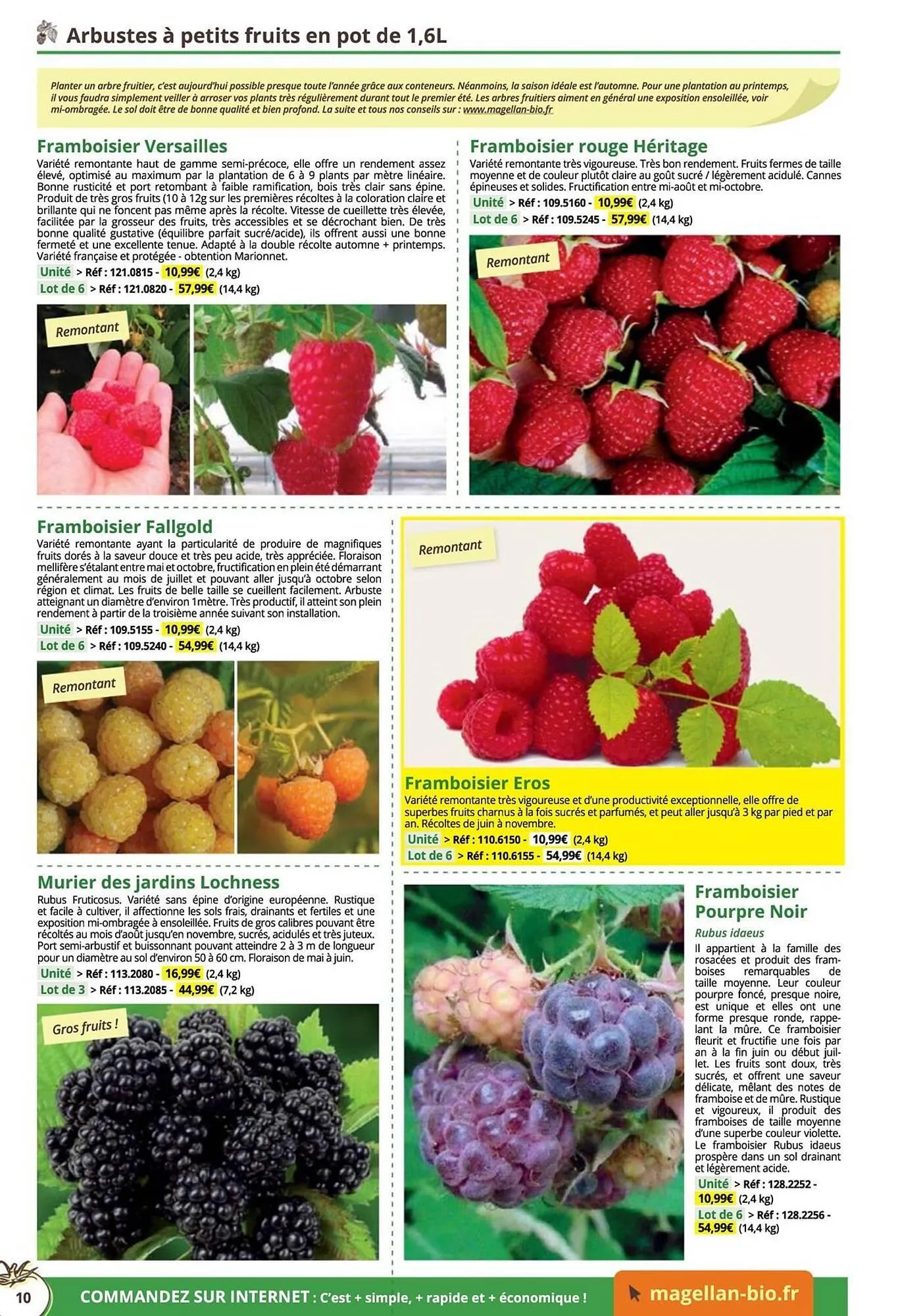 Catalogue Magellan du 16 décembre au 31 décembre 2025 - Catalogue page 10