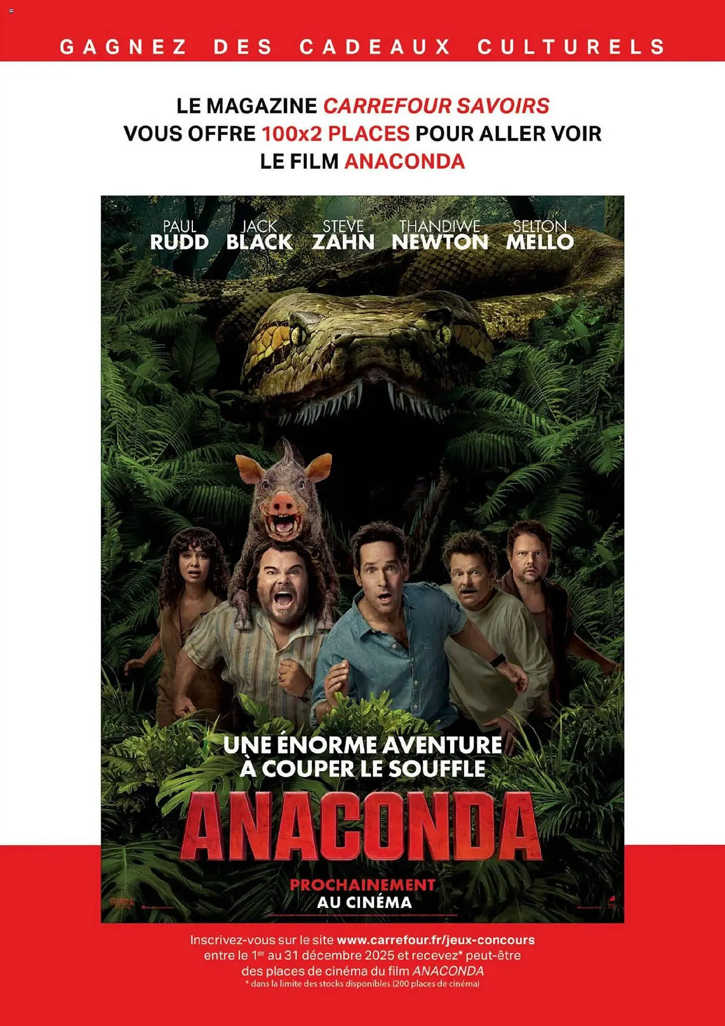 Catalogue Carrefour du 1 décembre au 31 décembre 2025 - Catalogue page 43