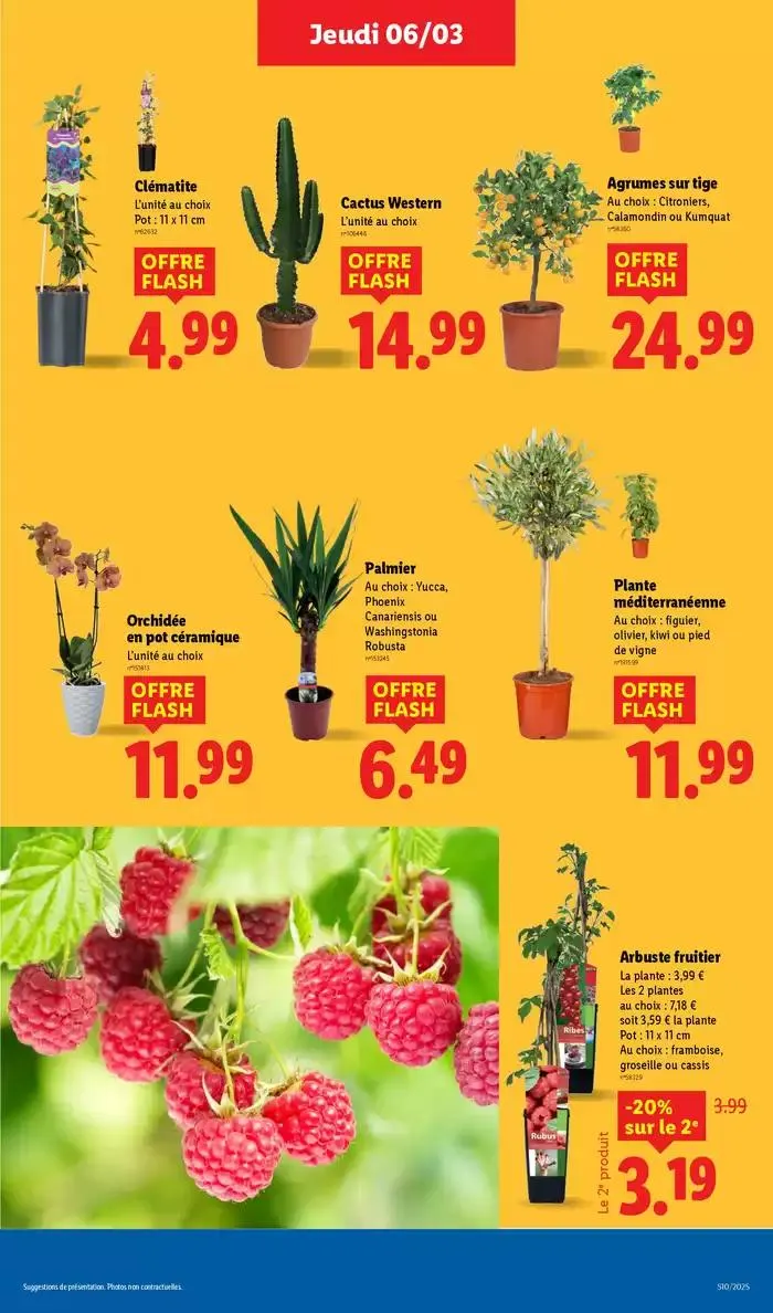 Les bonnes affaires sont chez Lidl ! Découvrez une sélection de produits à petits prix du 6 mars au 12 mars 2025 - Catalogue page 29