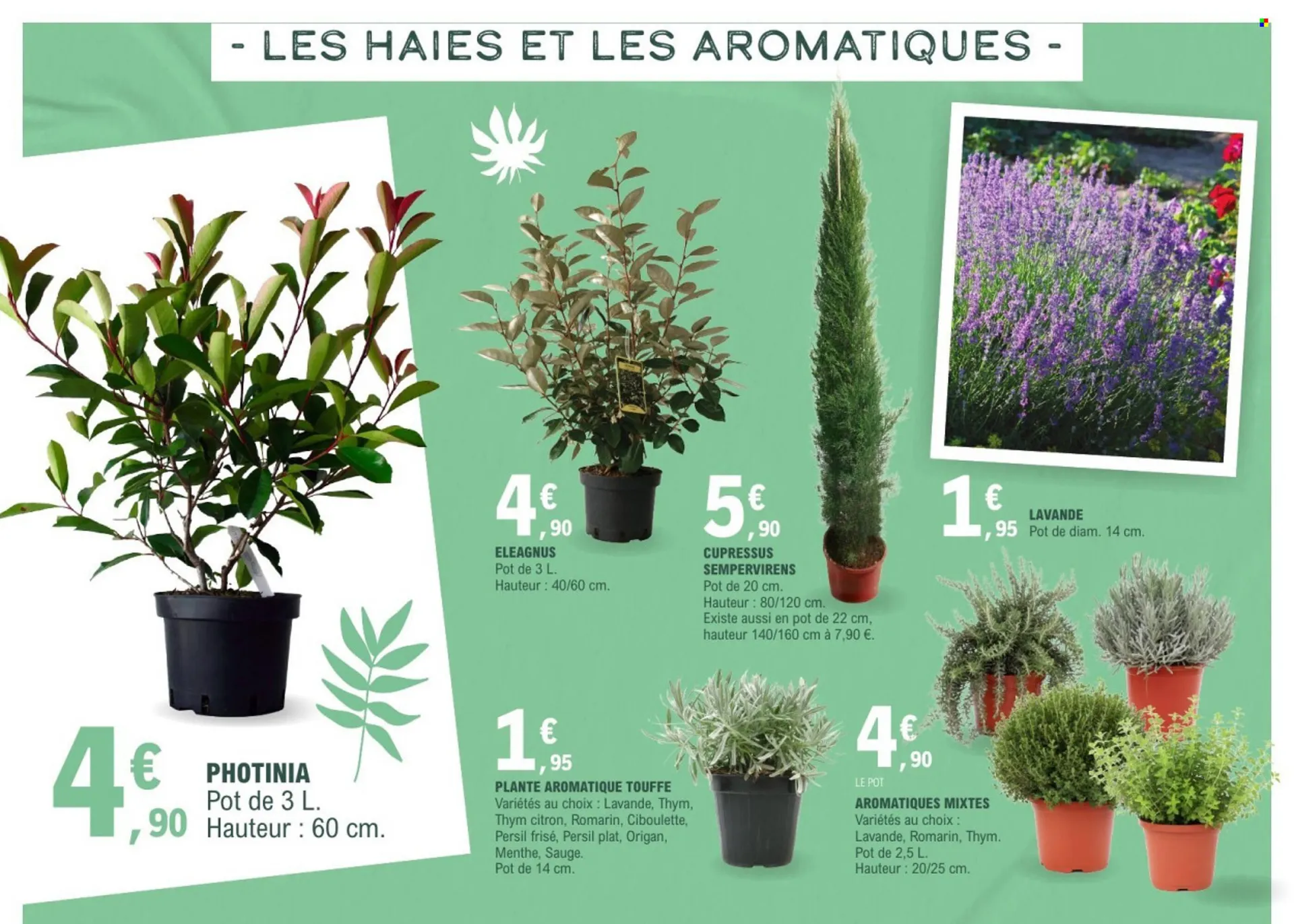 Catalogue E.Leclerc du 17 mars au 28 mars 2026 - Catalogue page 8