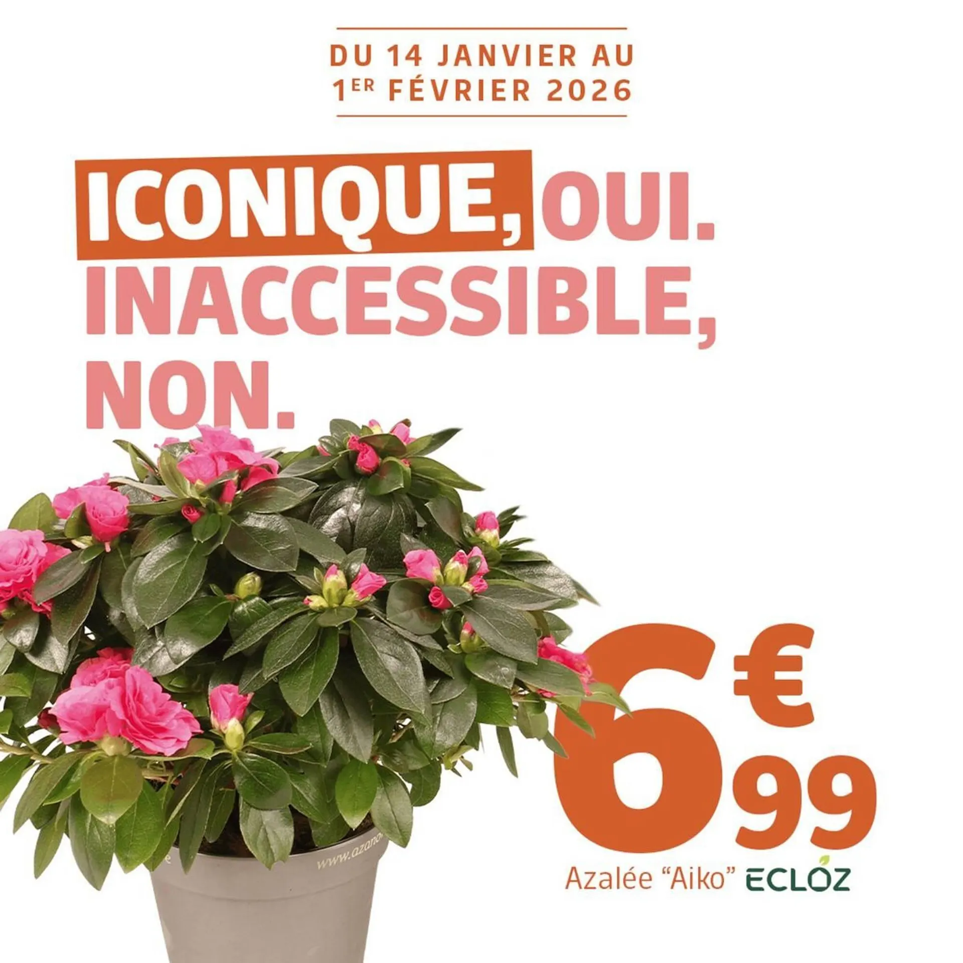 Catalogue Jardiland du 27 janvier au 1 février 2026 - Catalogue page 2