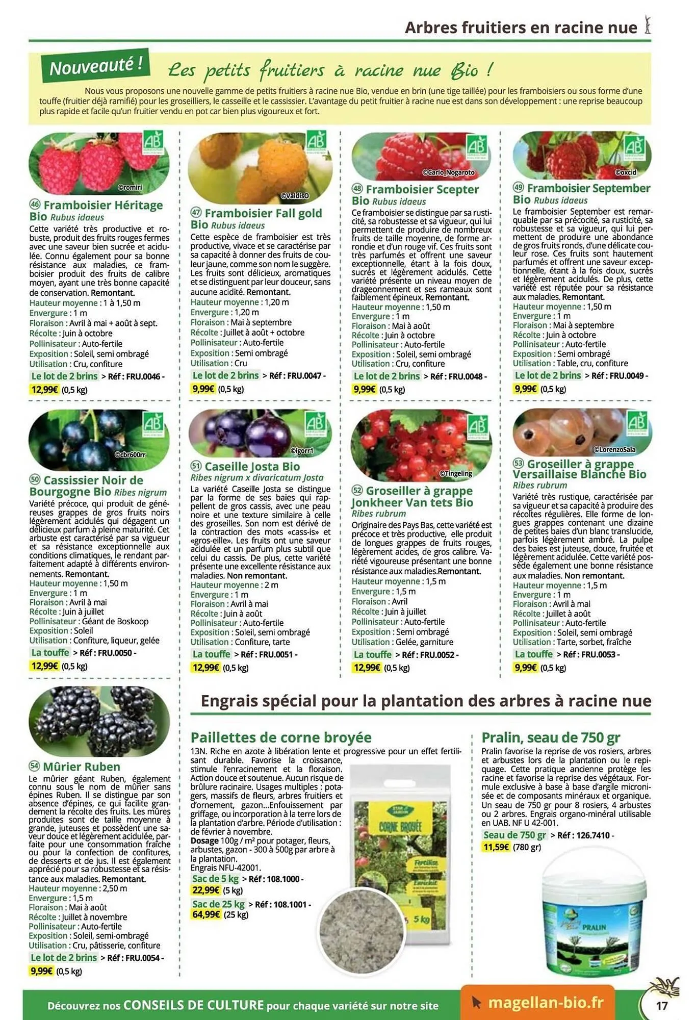 Catalogue Magellan du 16 décembre au 31 décembre 2025 - Catalogue page 17