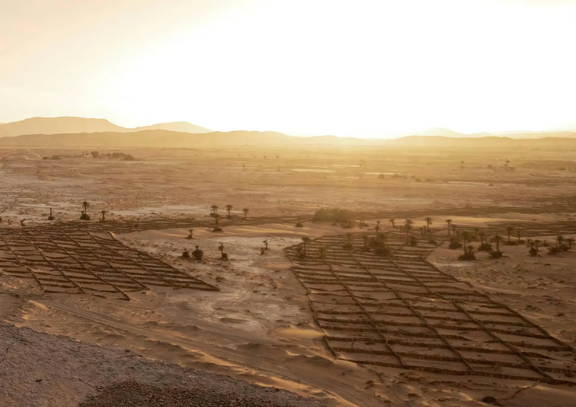 Catalogue Yamaha du 29 juillet au 3 janvier 2026 - Catalogue page 15