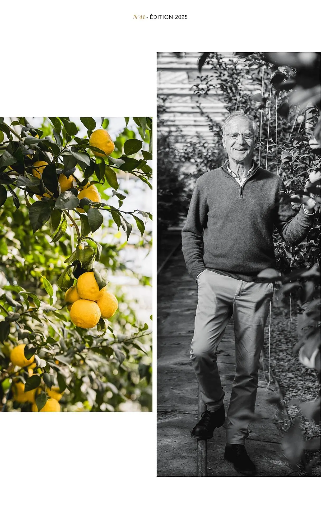 Catalogue METRO du 1 juillet au 31 décembre 2025 - Catalogue page 5