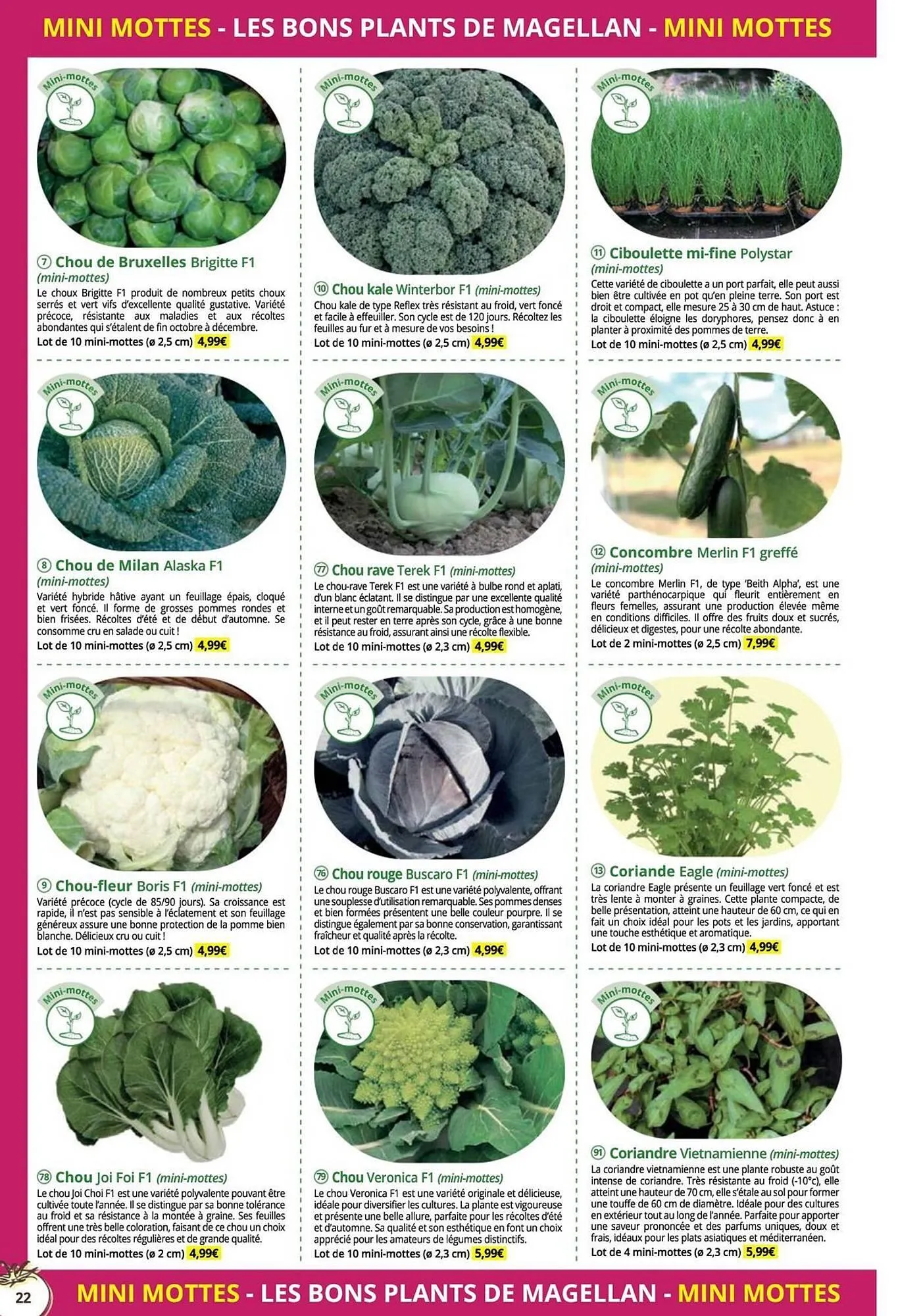 Catalogue Magellan du 16 décembre au 31 décembre 2025 - Catalogue page 22