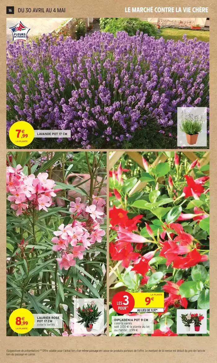 GEN MAI 1 du 29 avril au 11 mai 2025 - Catalogue page 16