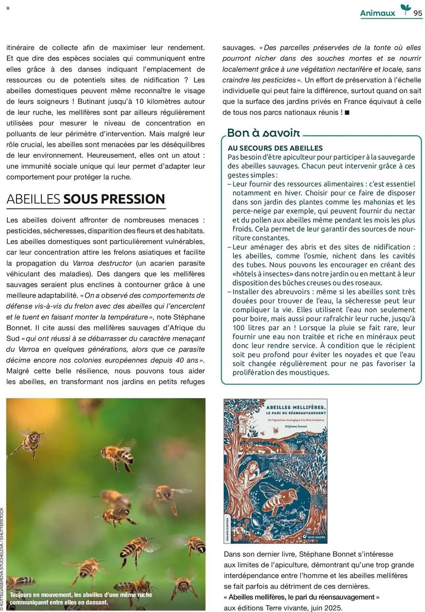 Catalogue Mr Bricolage du 22 septembre au 15 novembre 2025 - Catalogue page 95