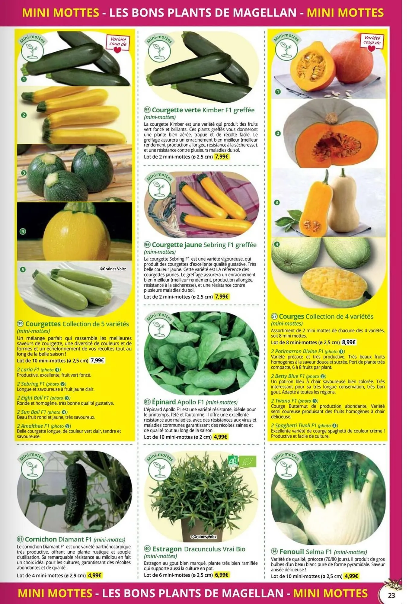 Catalogue Magellan du 1 janvier au 31 décembre 2026 - Catalogue page 23