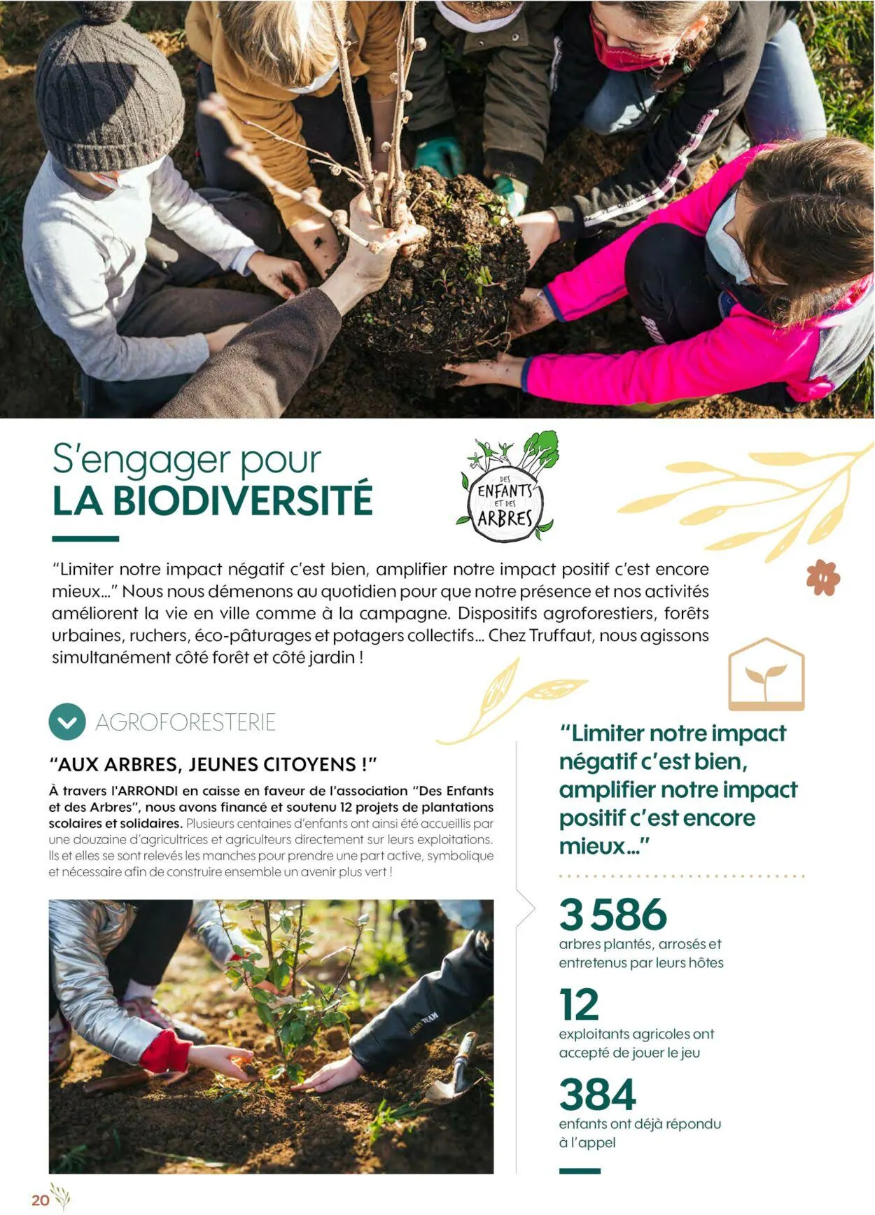 Truffaut du 1 janvier au 31 décembre 2030 - Catalogue page 20