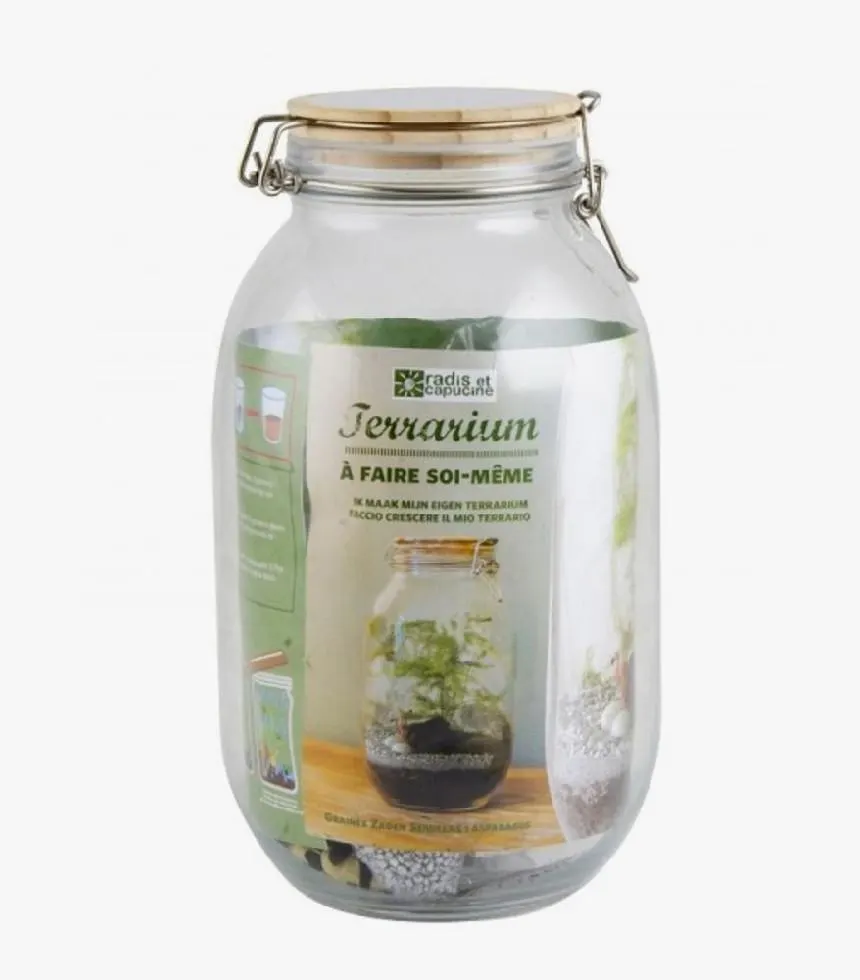 Terrarium Asparagus DIY