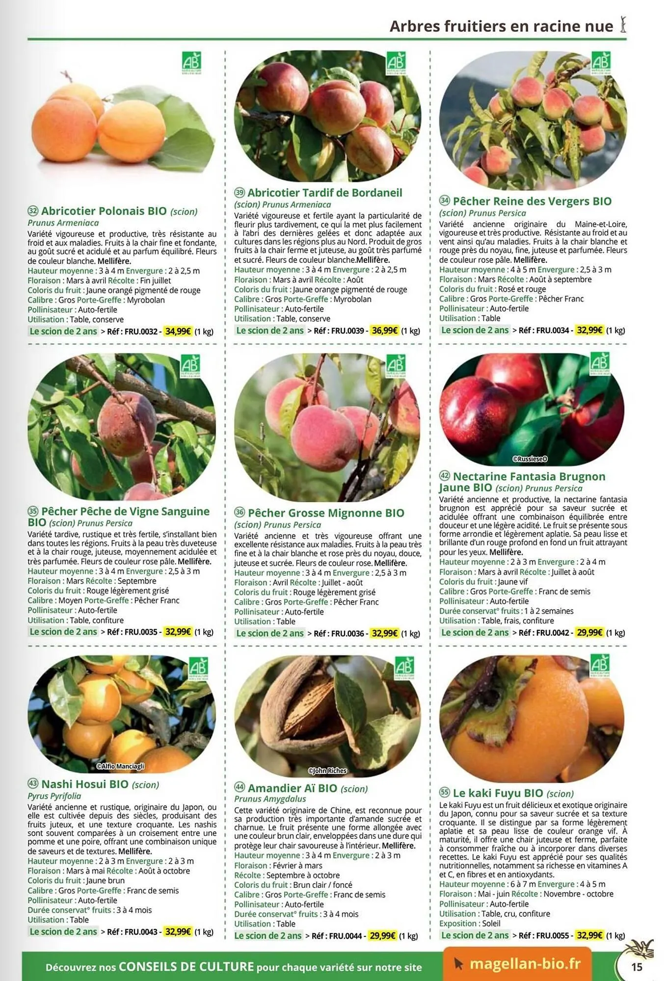 Catalogue Magellan du 1 janvier au 31 décembre 2026 - Catalogue page 15