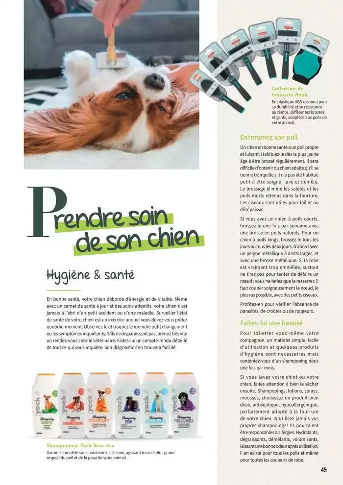 Le guide CHIENS & CHATS du 30 avril au 31 décembre 2025 - Catalogue page 45