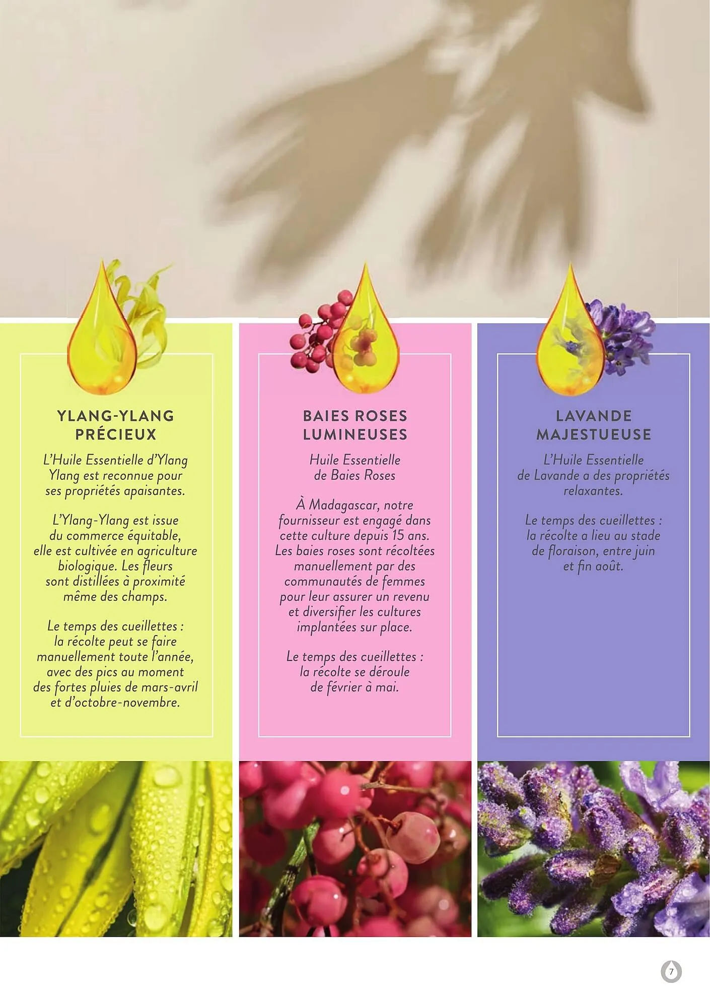 Catalogue Stanhome du 6 janvier au 31 mai 2025 - Catalogue page 7