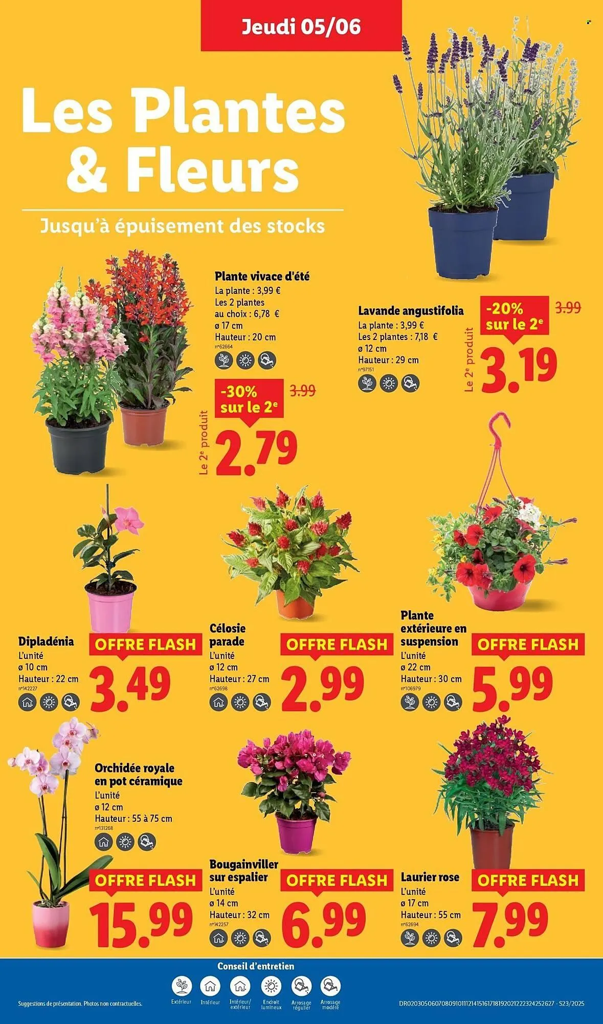 Catalogue Lidl du 5 juin au 11 juin 2025 - Catalogue page 29