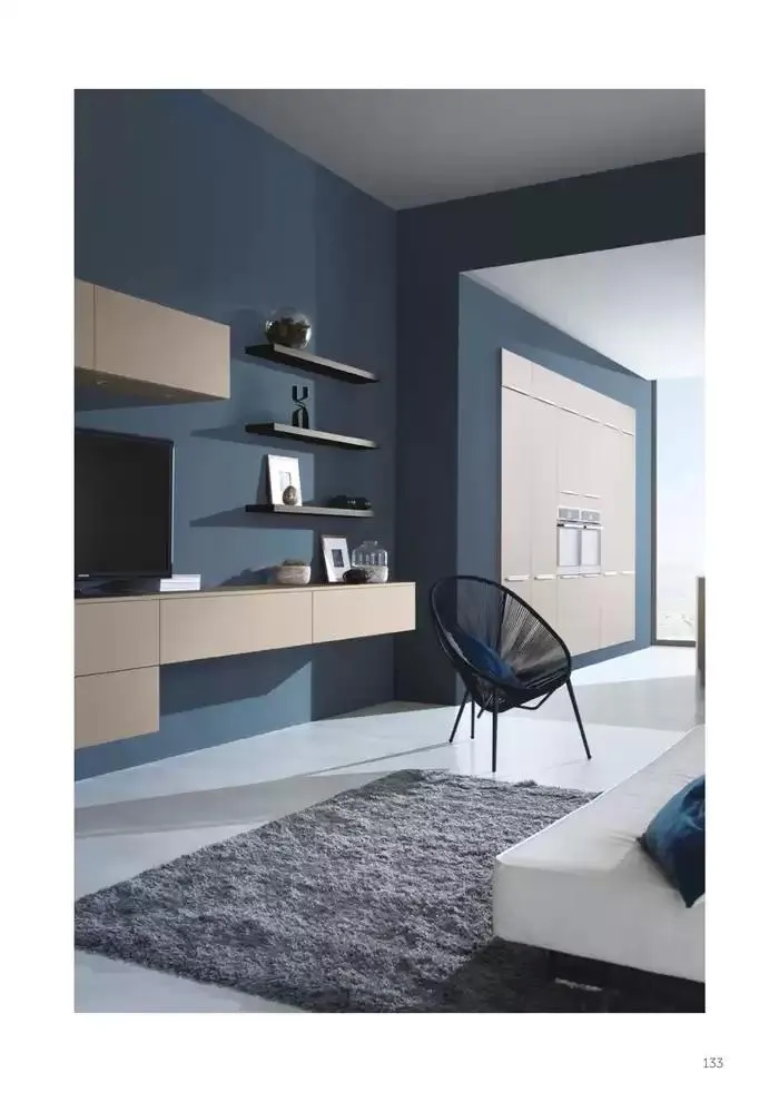 VOUS NE TROUVEREZ PAS VOTRE CUISINE DANS CE CATALOGUE du 16 janvier au 30 avril 2025 - Catalogue page 133