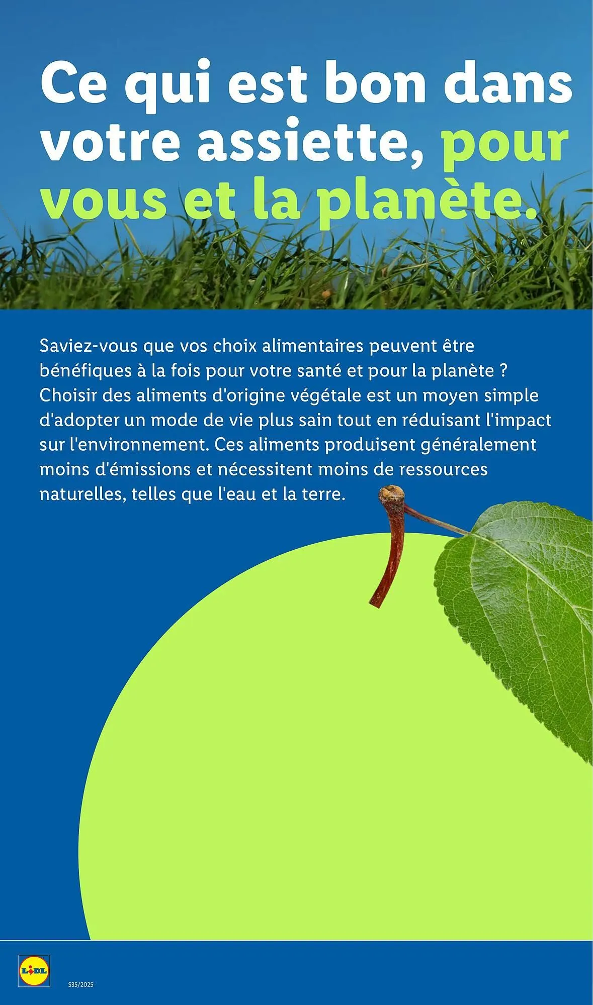 Catalogue Lidl du 28 août au 3 septembre 2025 - Catalogue page 28