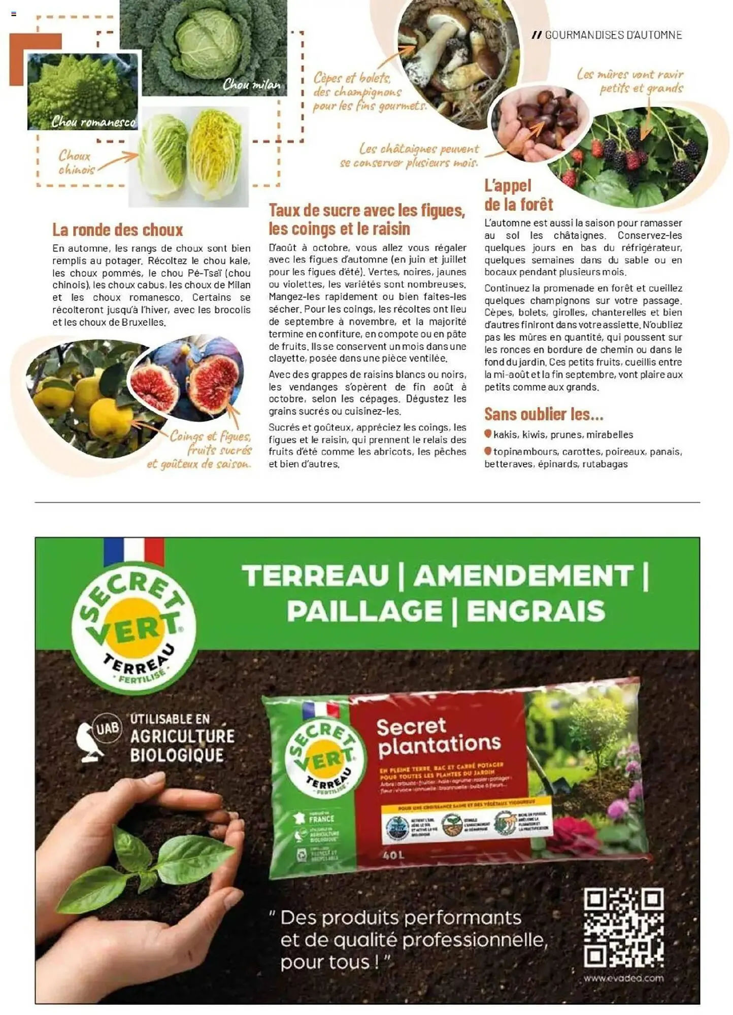 Catalogue VillaVerde du 19 septembre au 28 février 2026 - Catalogue page 15