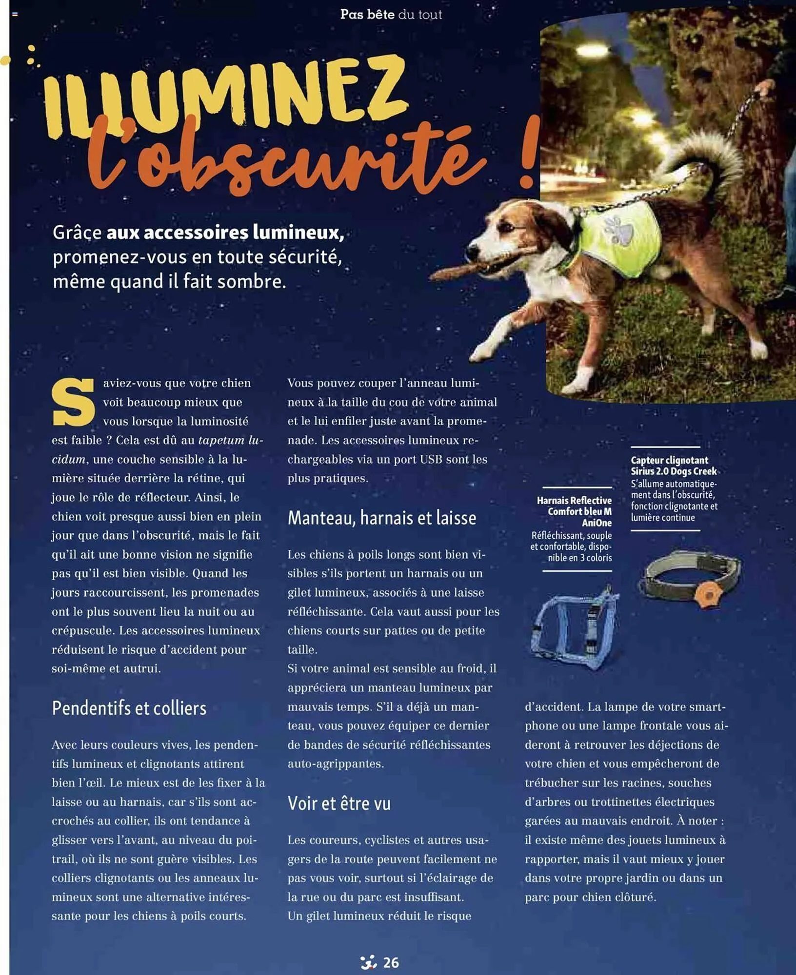 Catalogue Maxi Zoo du 1 septembre au 3 novembre 2024 - Catalogue page 26
