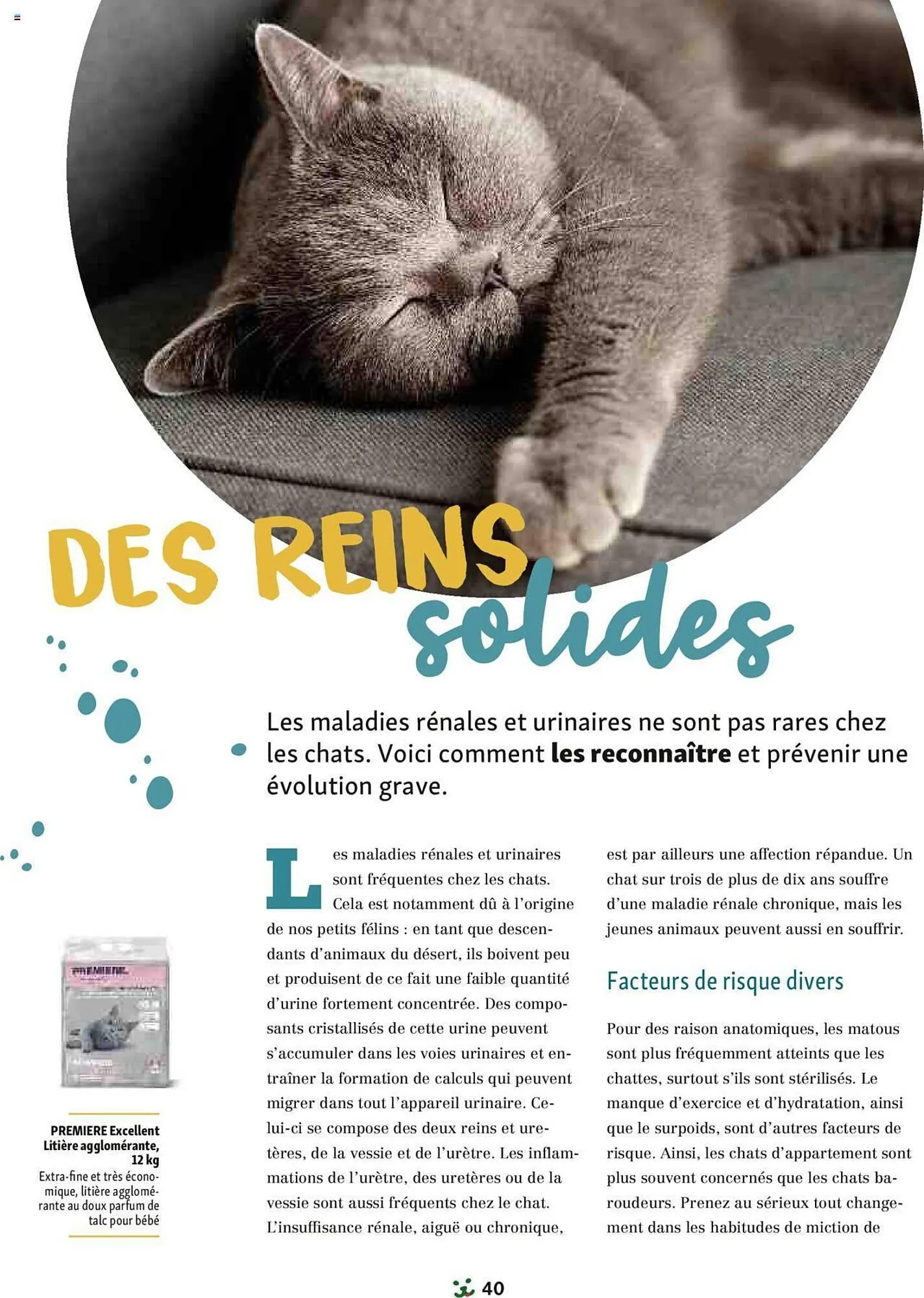 Catalogue Maxi Zoo du 1 septembre au 3 novembre 2024 - Catalogue page 40