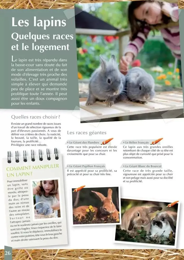 Le guide BASSE-COUR du 30 avril au 31 décembre 2025 - Catalogue page 26