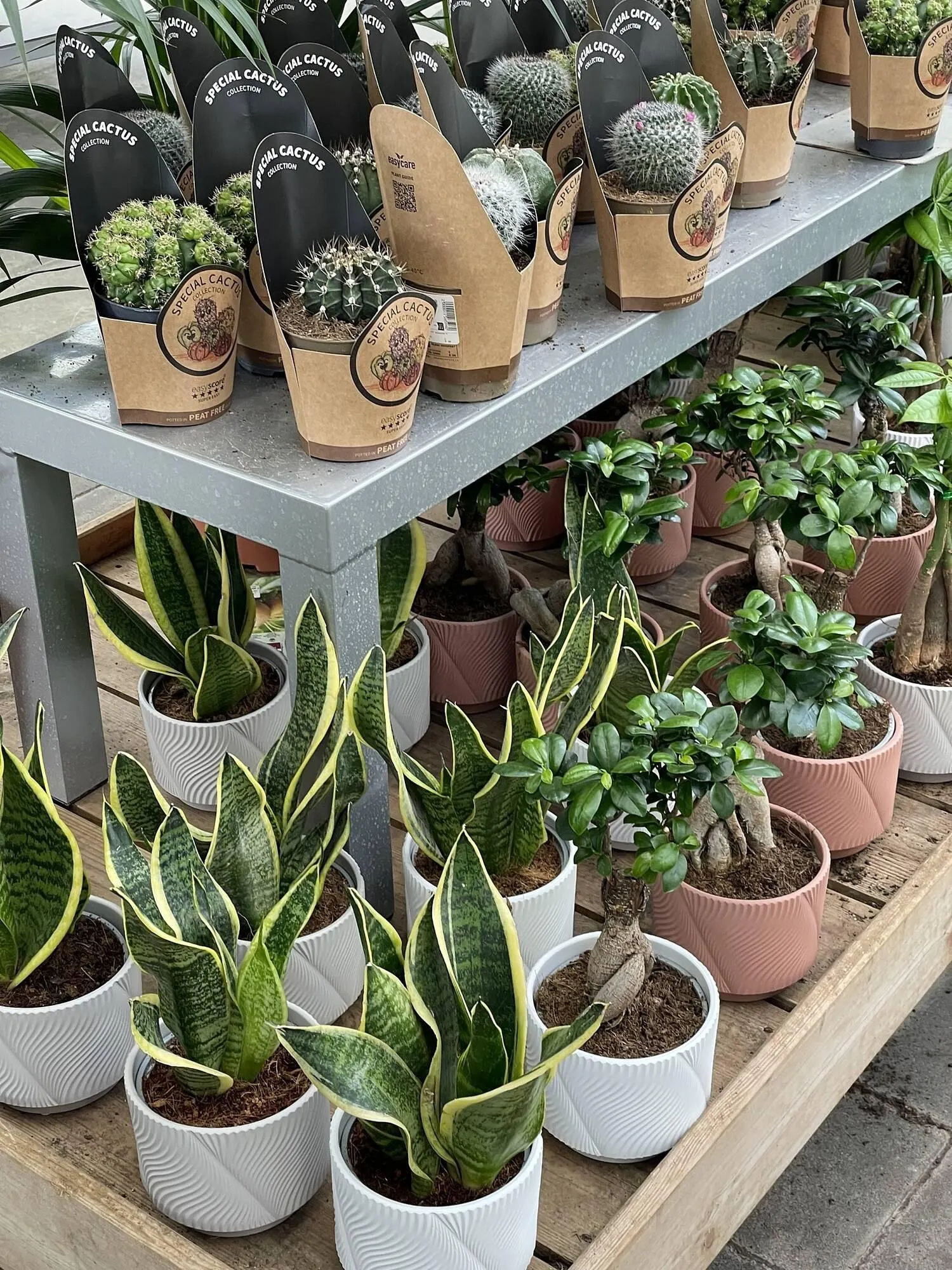 Catalogue Truffaut du 6 février au 22 février 2026 - Catalogue page 5