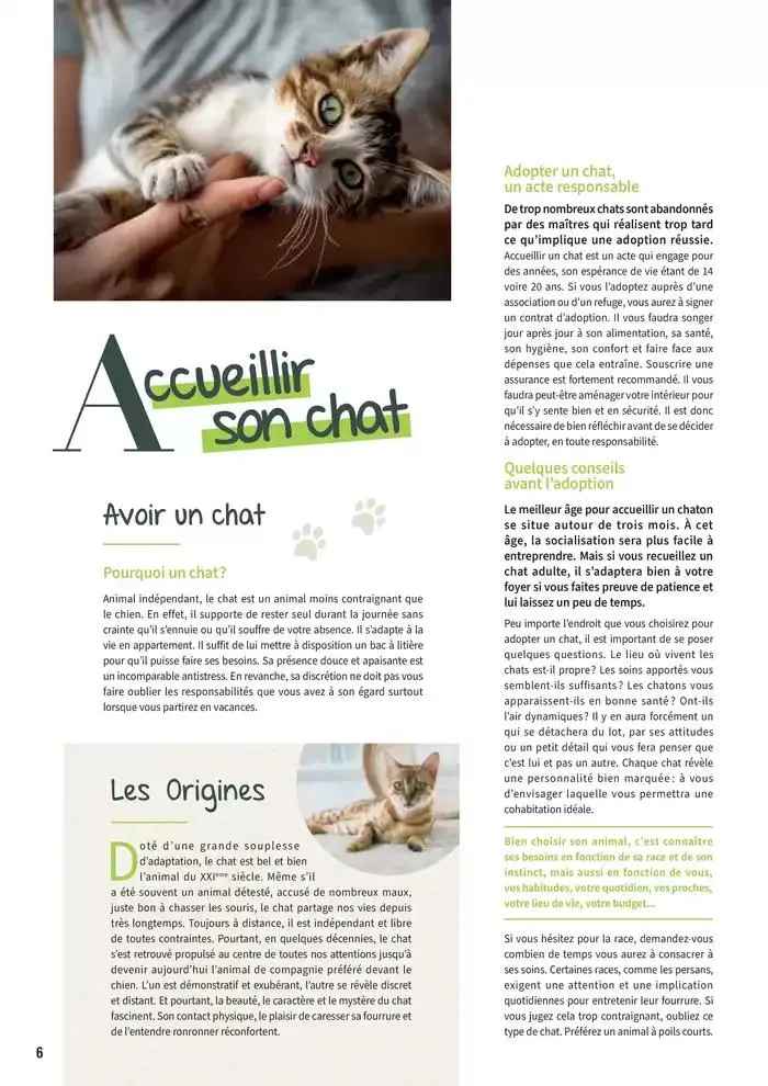 Le guide CHIENS & CHATS du 30 avril au 31 décembre 2025 - Catalogue page 6