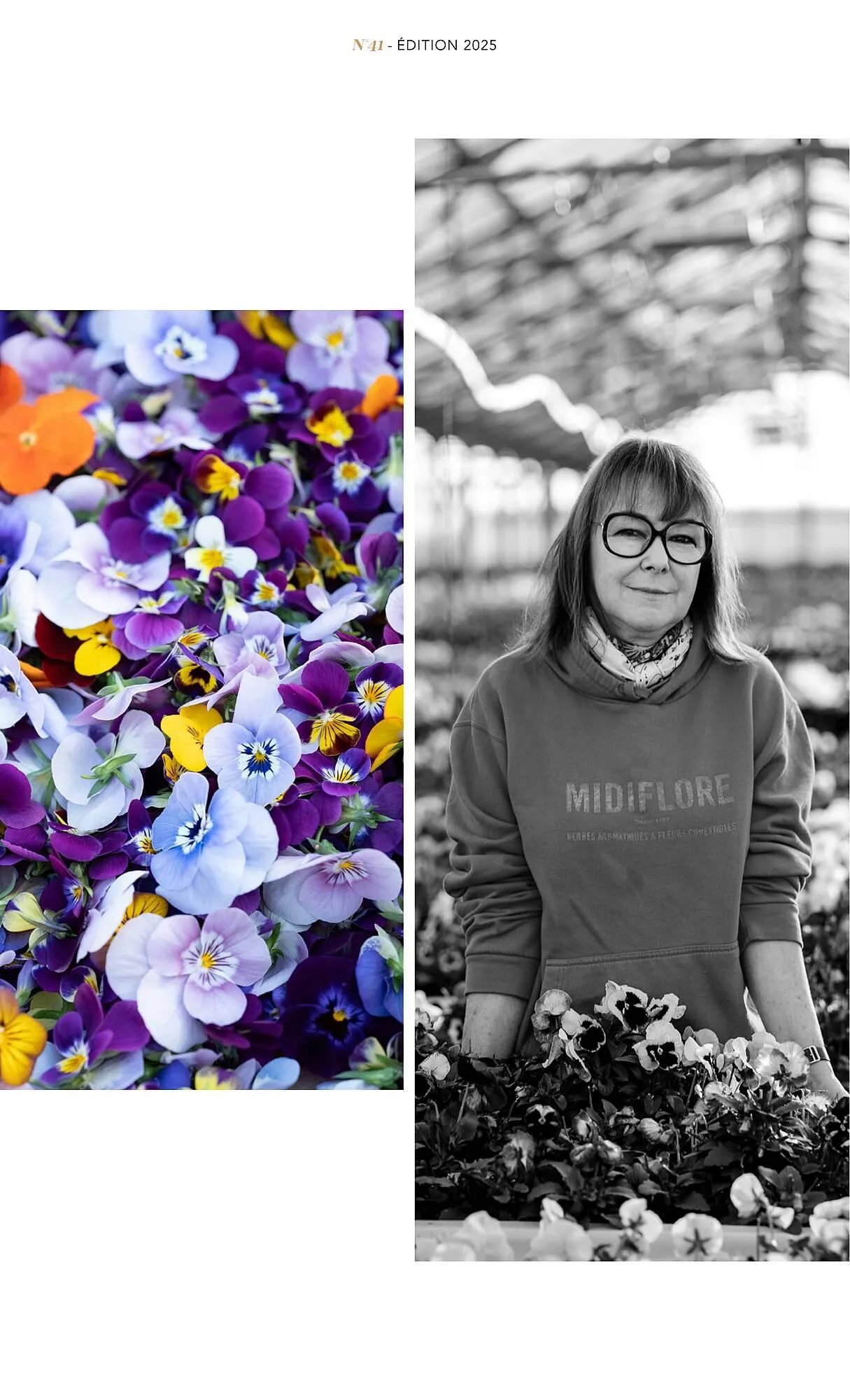 Catalogue METRO du 1 juillet au 31 décembre 2025 - Catalogue page 17