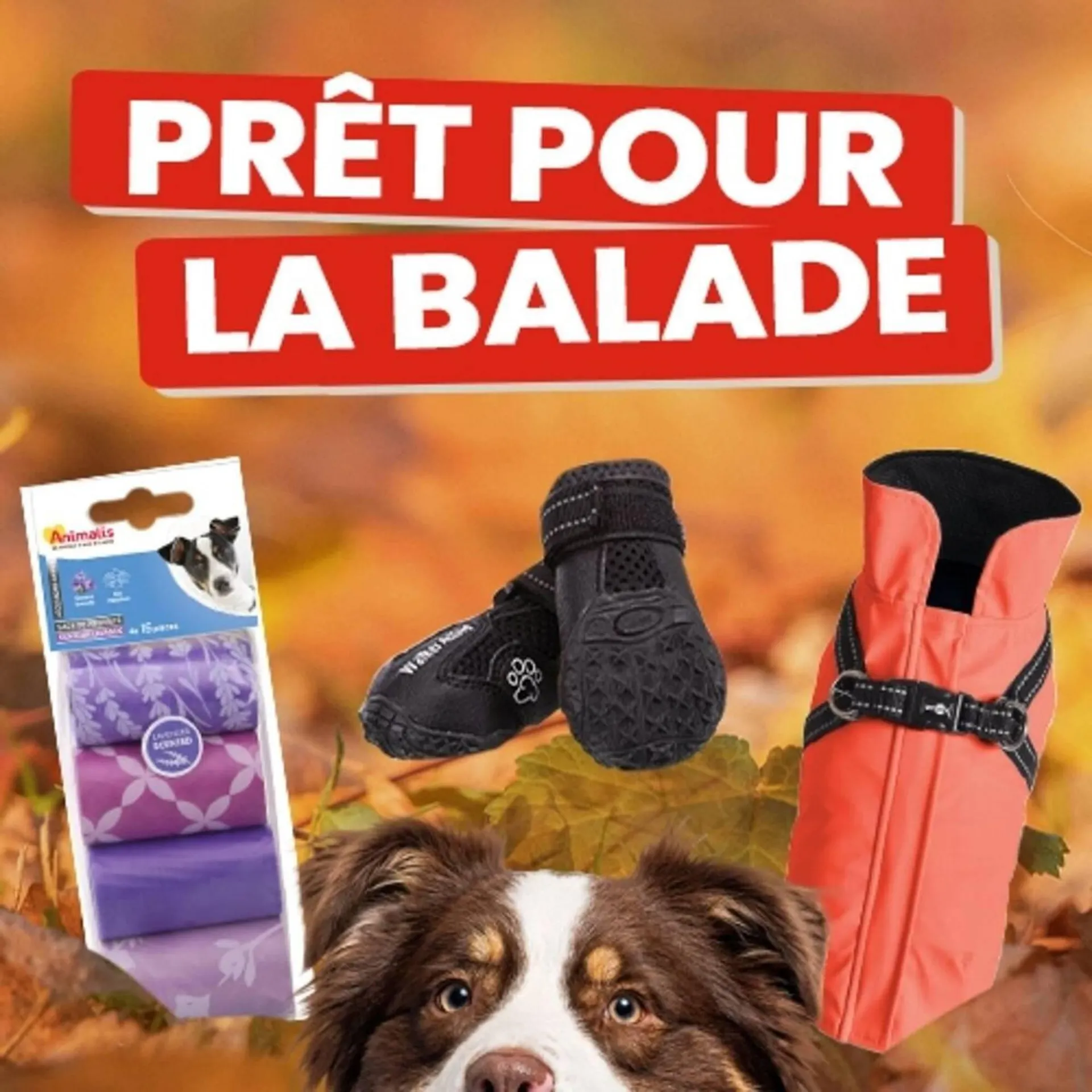 Catalogue Animalis du 5 novembre au 19 novembre 2025 - Catalogue page 2