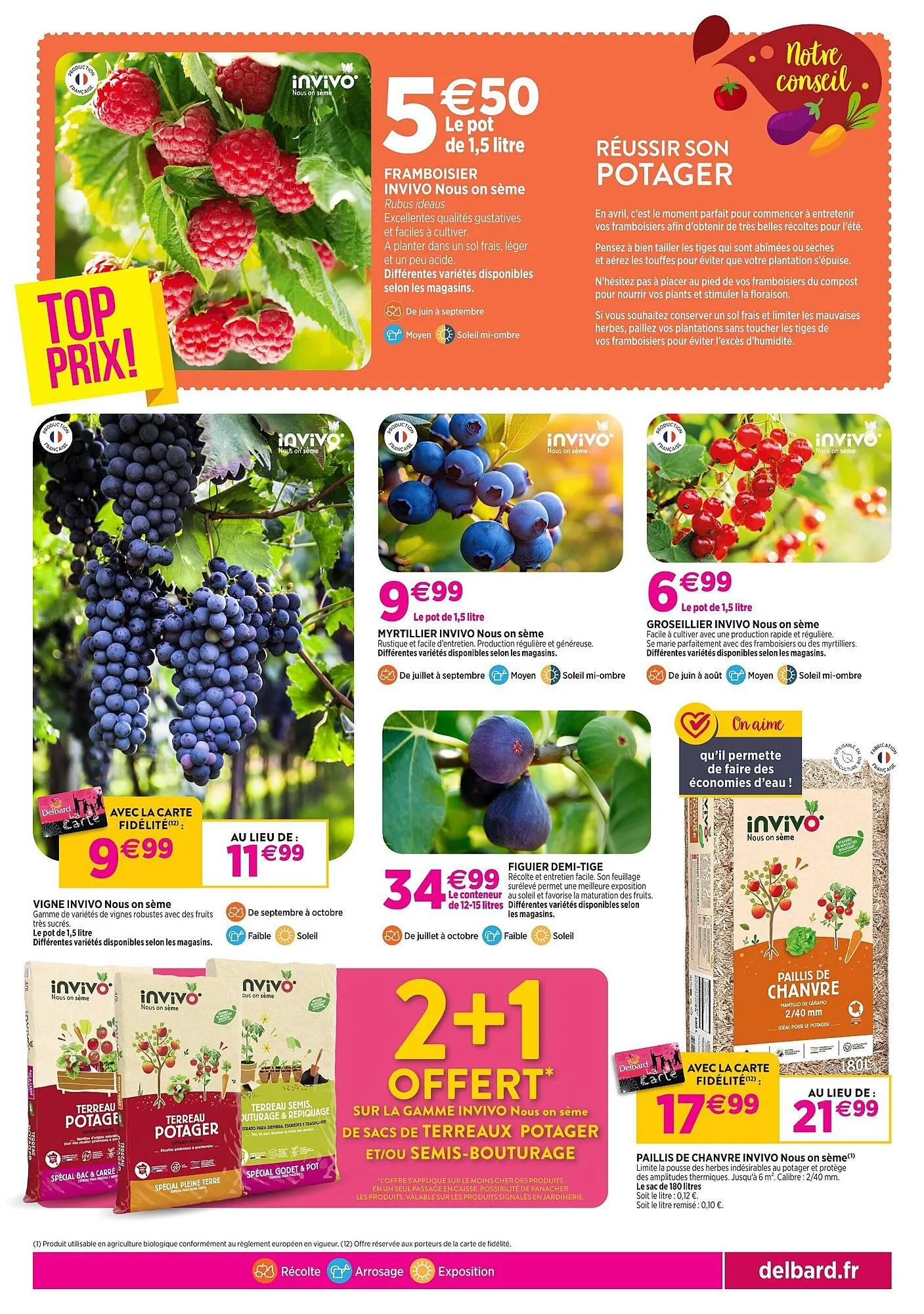 Catalogue Delbard du 8 avril au 19 avril 2026 - Catalogue page 3