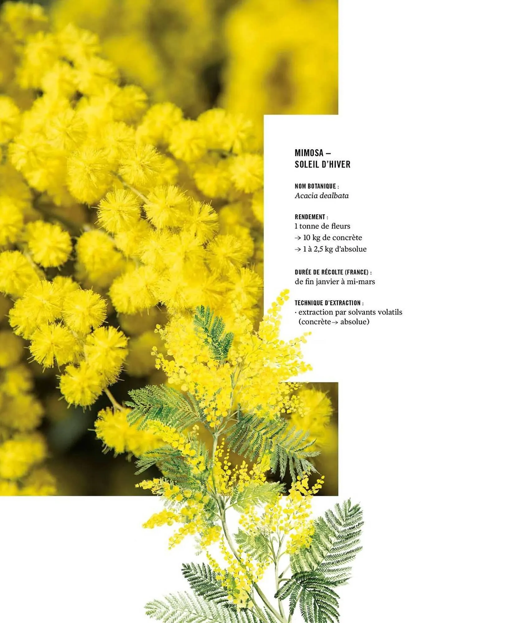 Catalogue Fragonard du 9 mars au 20 septembre 2026 - Catalogue page 14