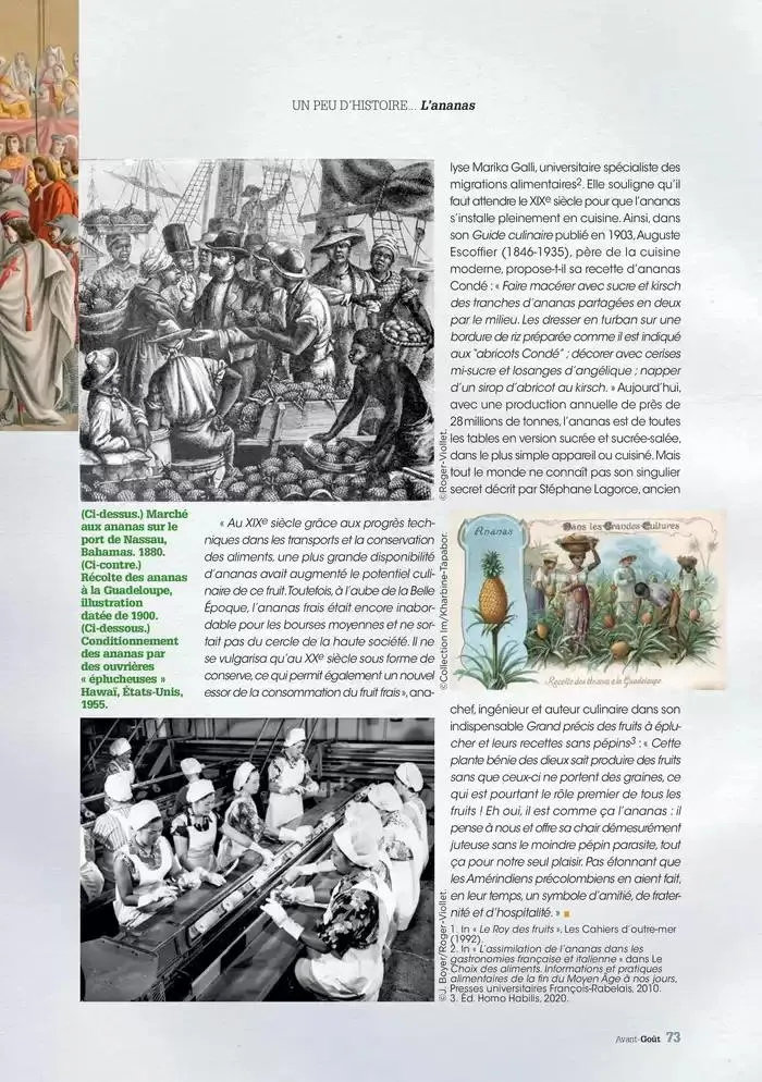 Hiver 2024 du 3 décembre au 20 mars 2025 - Catalogue page 73