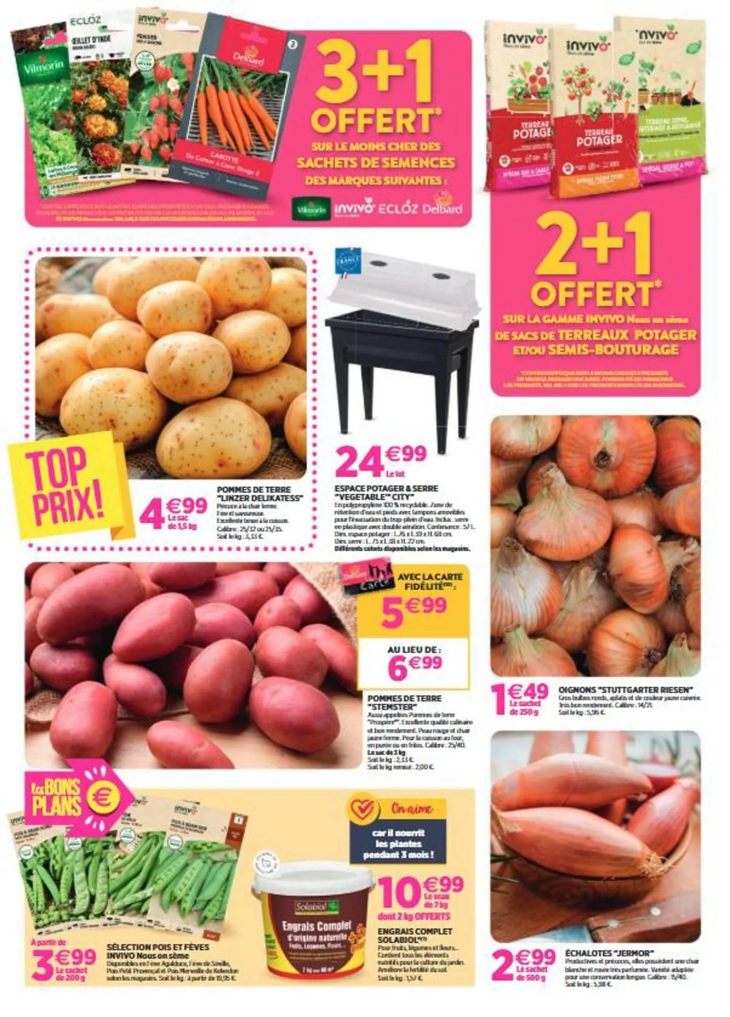 Catalogue Delbard du 26 février au 8 mars 2026 - Catalogue page 4