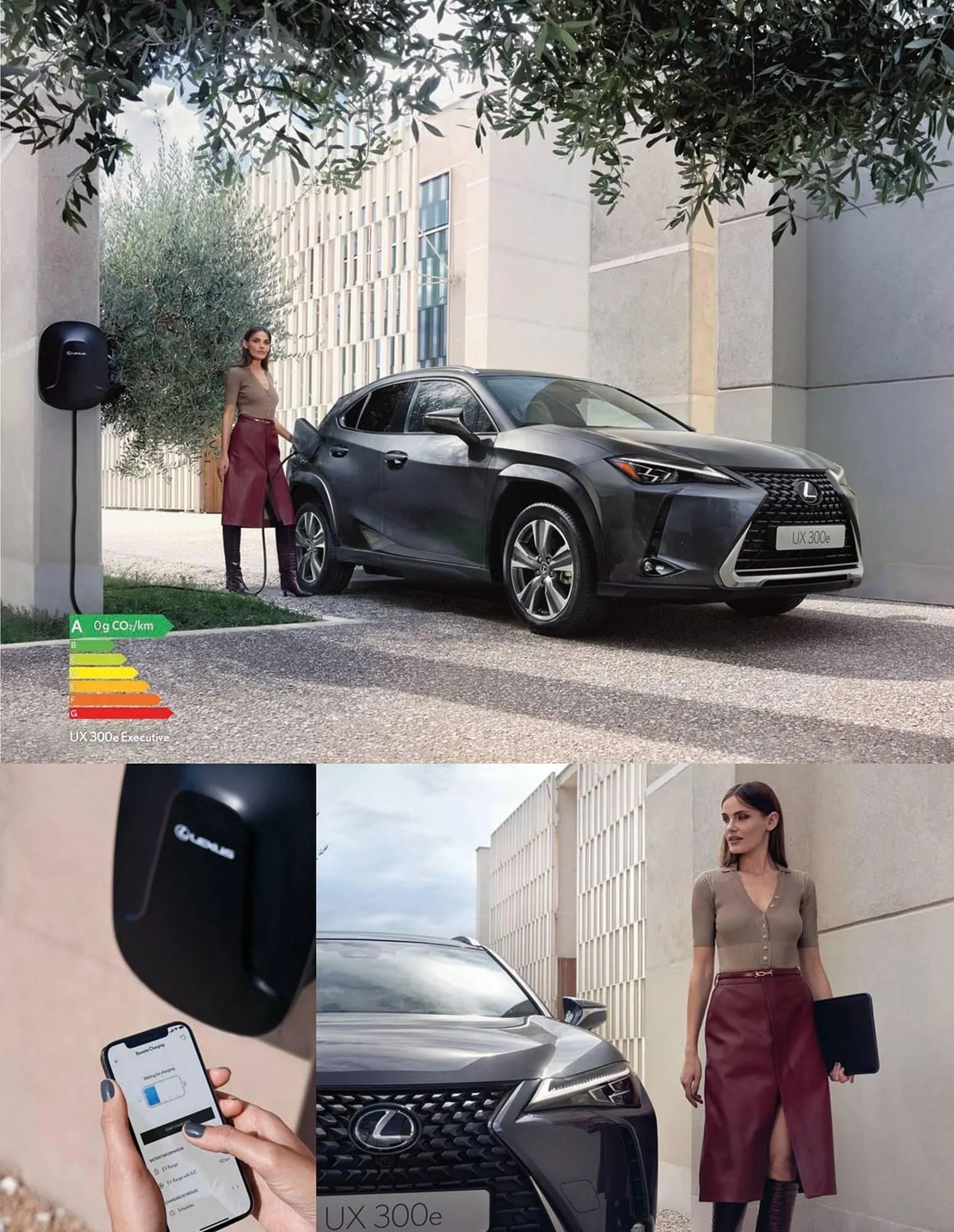 Catalogue Lexus du 27 mars au 27 mars 2026 - Catalogue page 13