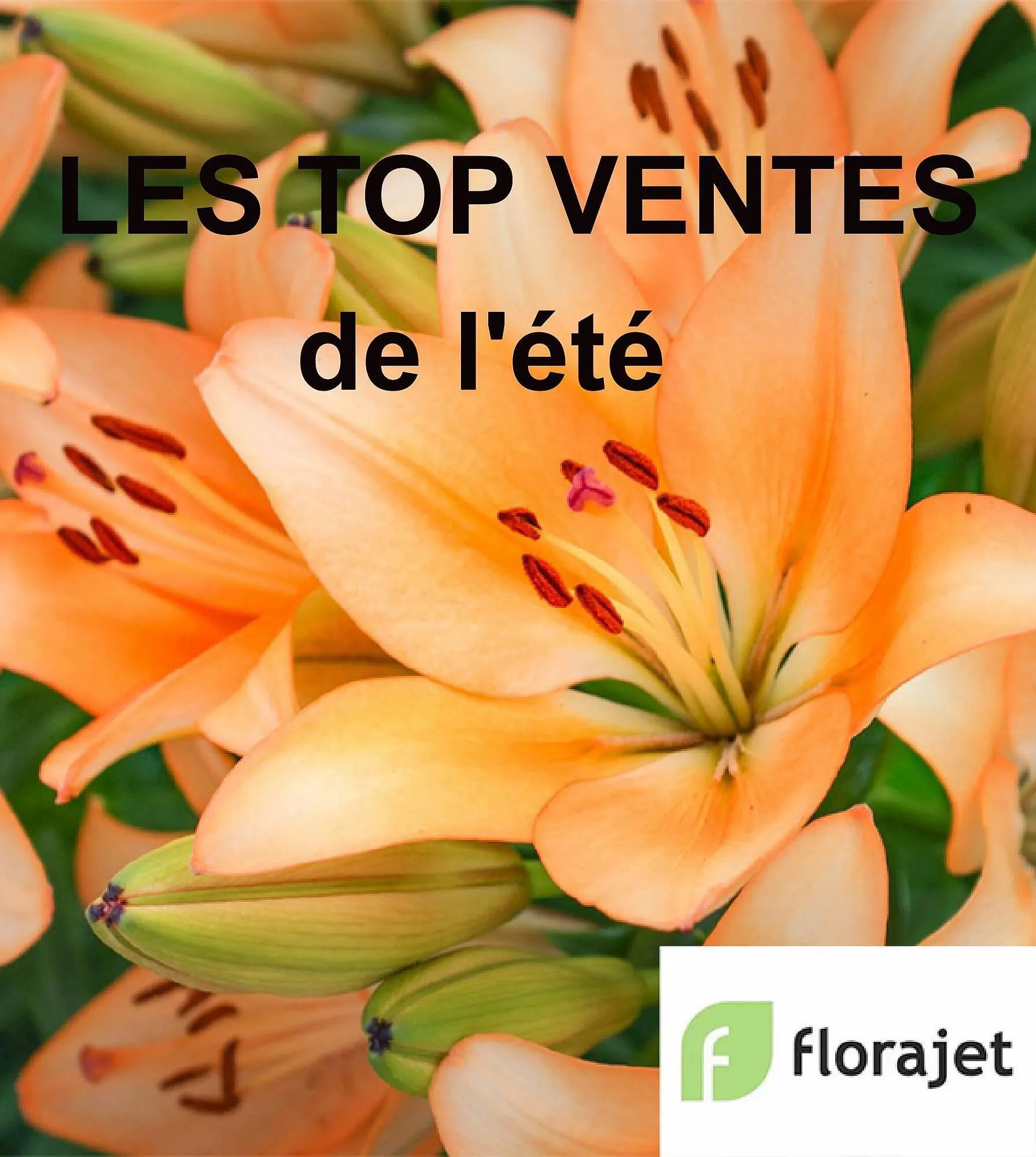 Catalogue Florajet - 1