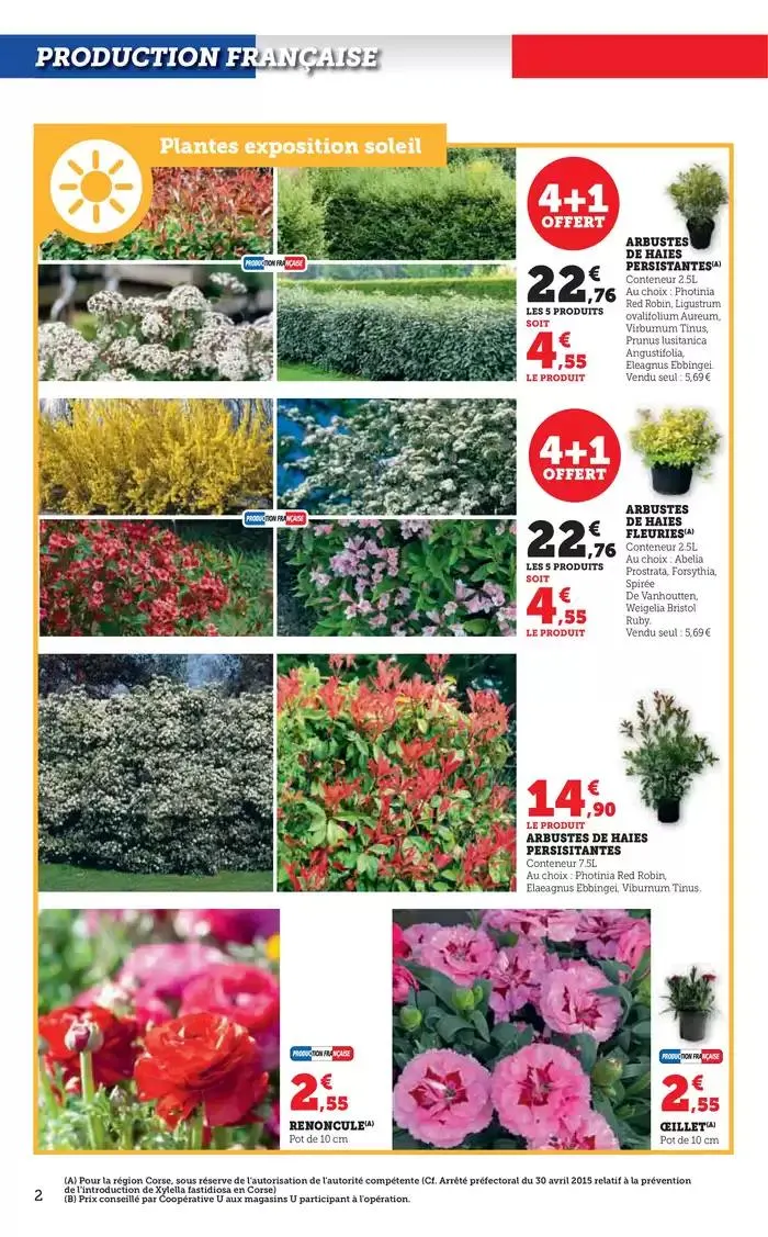 Spécial Jardin du 18 février au 16 mars 2025 - Catalogue page 2
