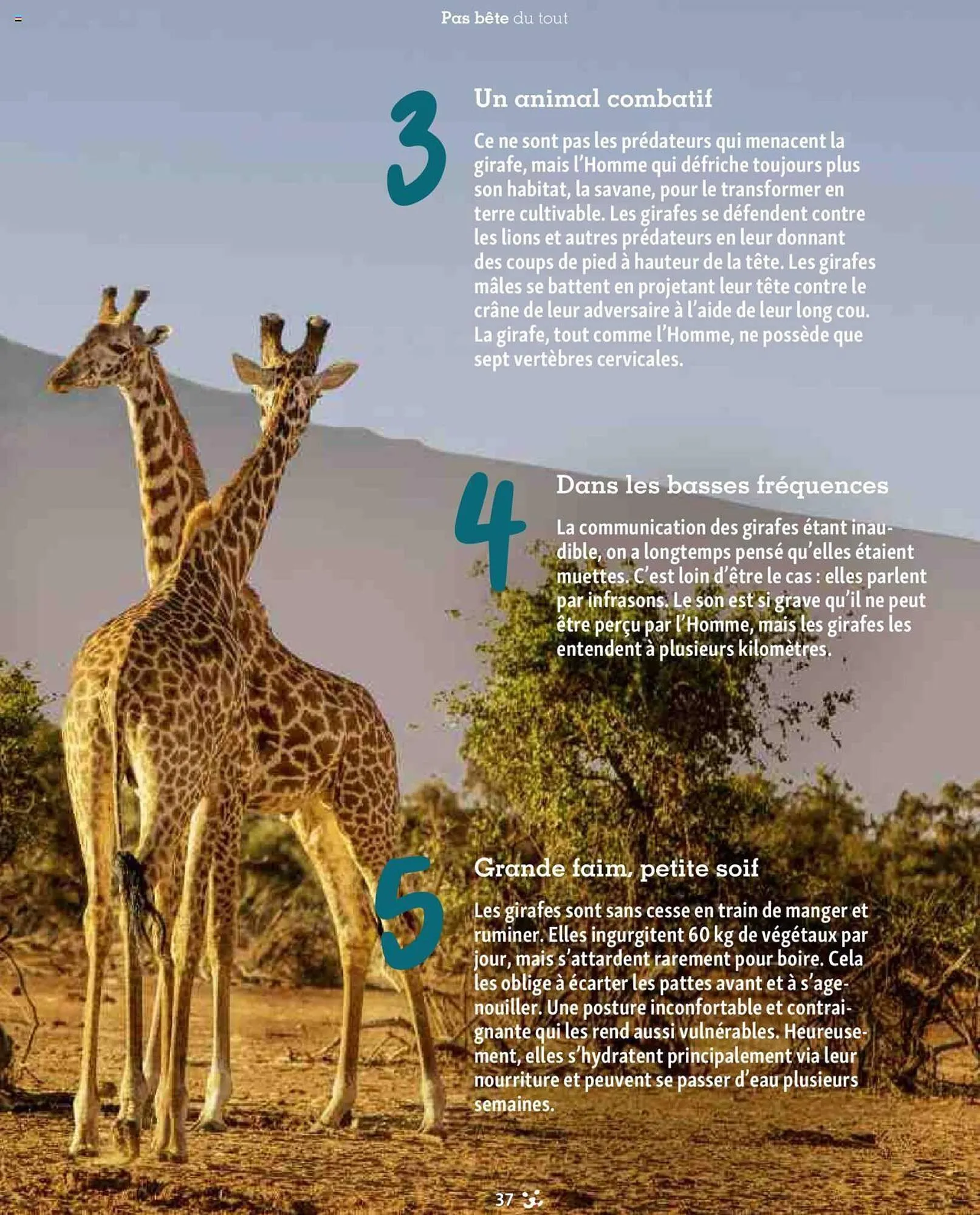 Catalogue Maxi Zoo du 1 septembre au 3 novembre 2024 - Catalogue page 37