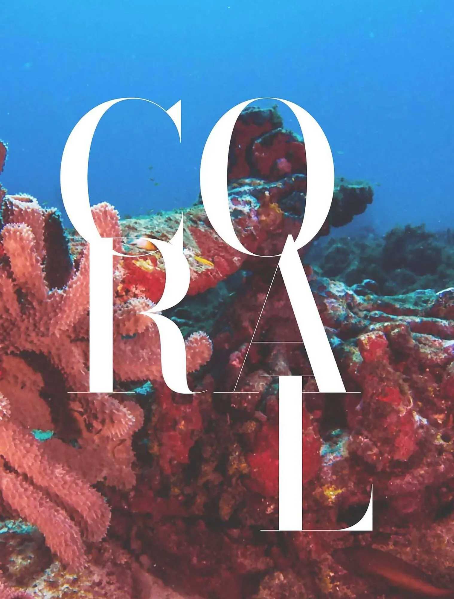 Catalogue Porcelanosa du 2 octobre au 31 décembre 2025 - Catalogue page 43