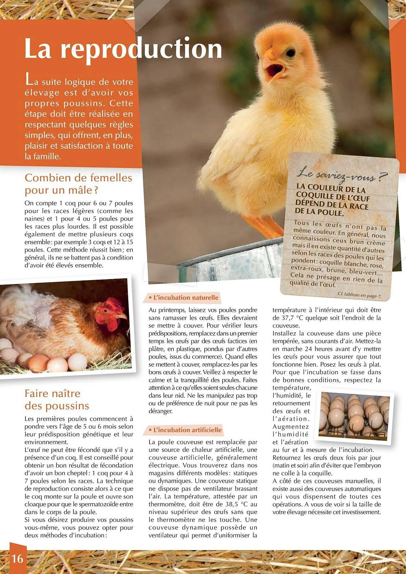 Catalogue Point Vert du 30 avril au 31 décembre 2025 - Catalogue page 16