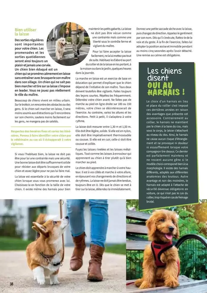 Le guide CHIENS & CHATS du 30 avril au 31 décembre 2025 - Catalogue page 38