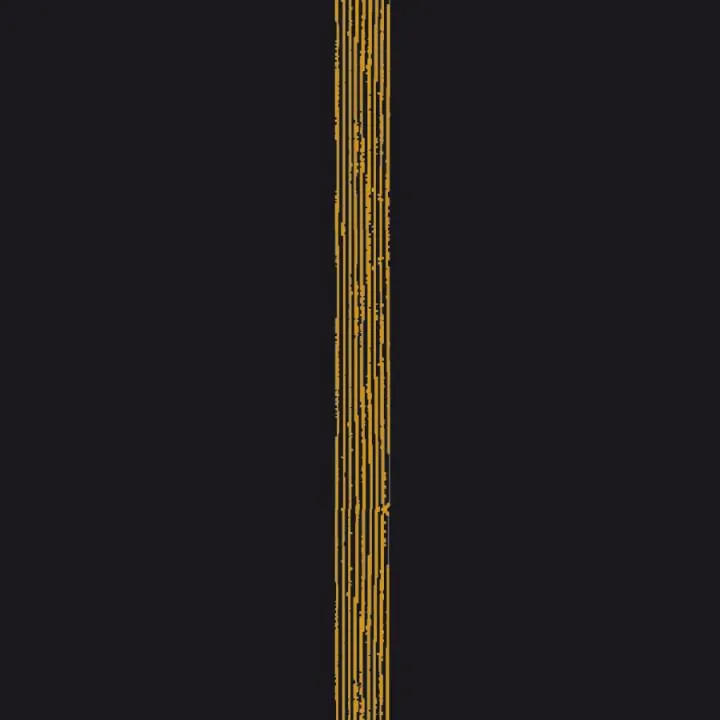 Lot de 20 Serviettes intissé Empreinte noir 40 x 40cm