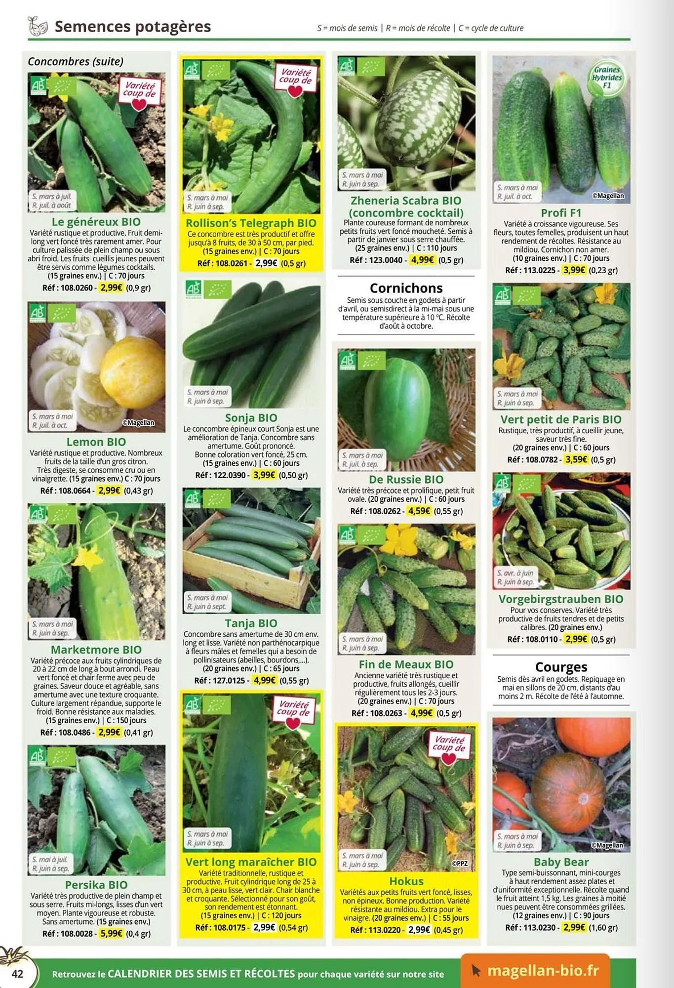 Catalogue Magellan du 1 janvier au 31 décembre 2026 - Catalogue page 42