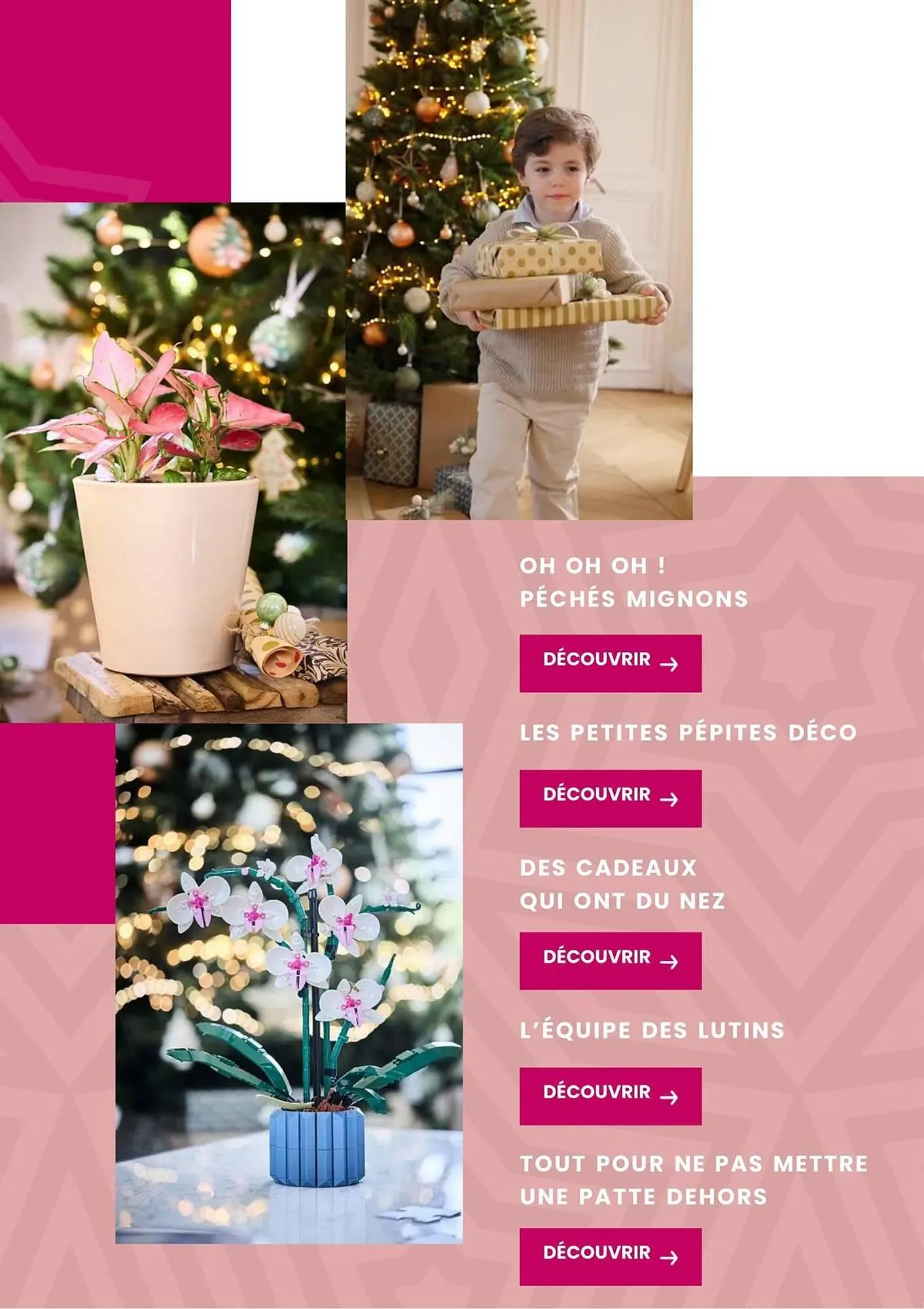 Catalogue Truffaut du 2 décembre au 31 décembre 2025 - Catalogue page 40