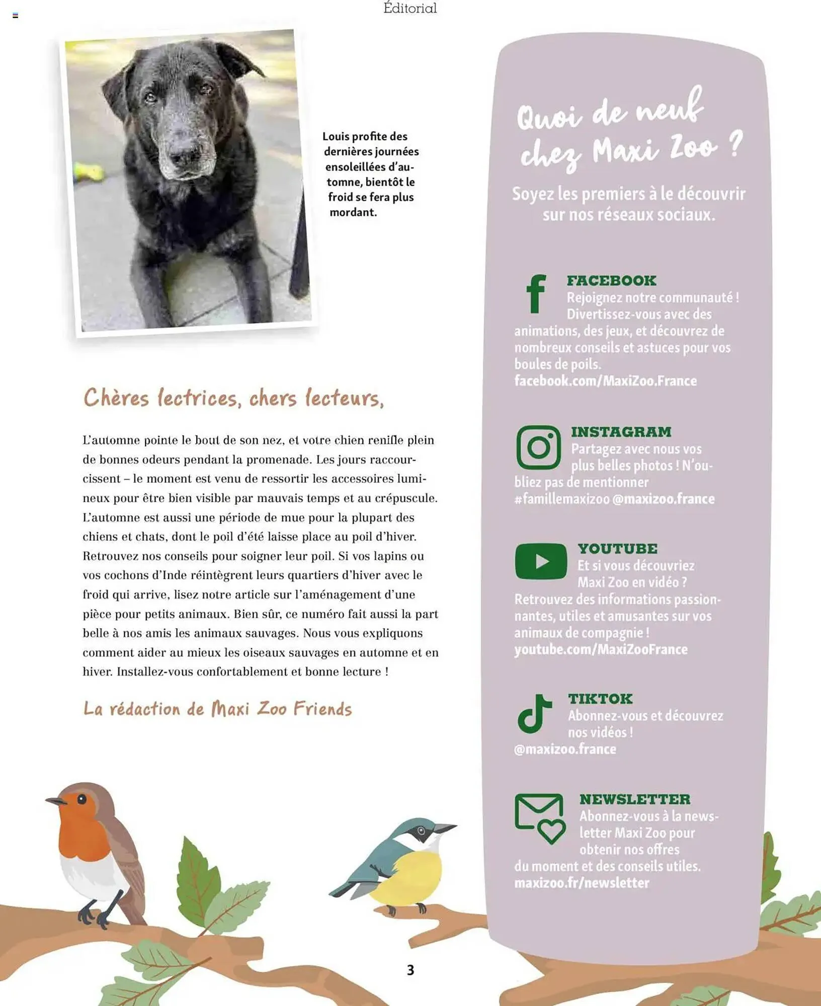 Catalogue Maxi Zoo du 1 octobre au 20 novembre 2025 - Catalogue page 3