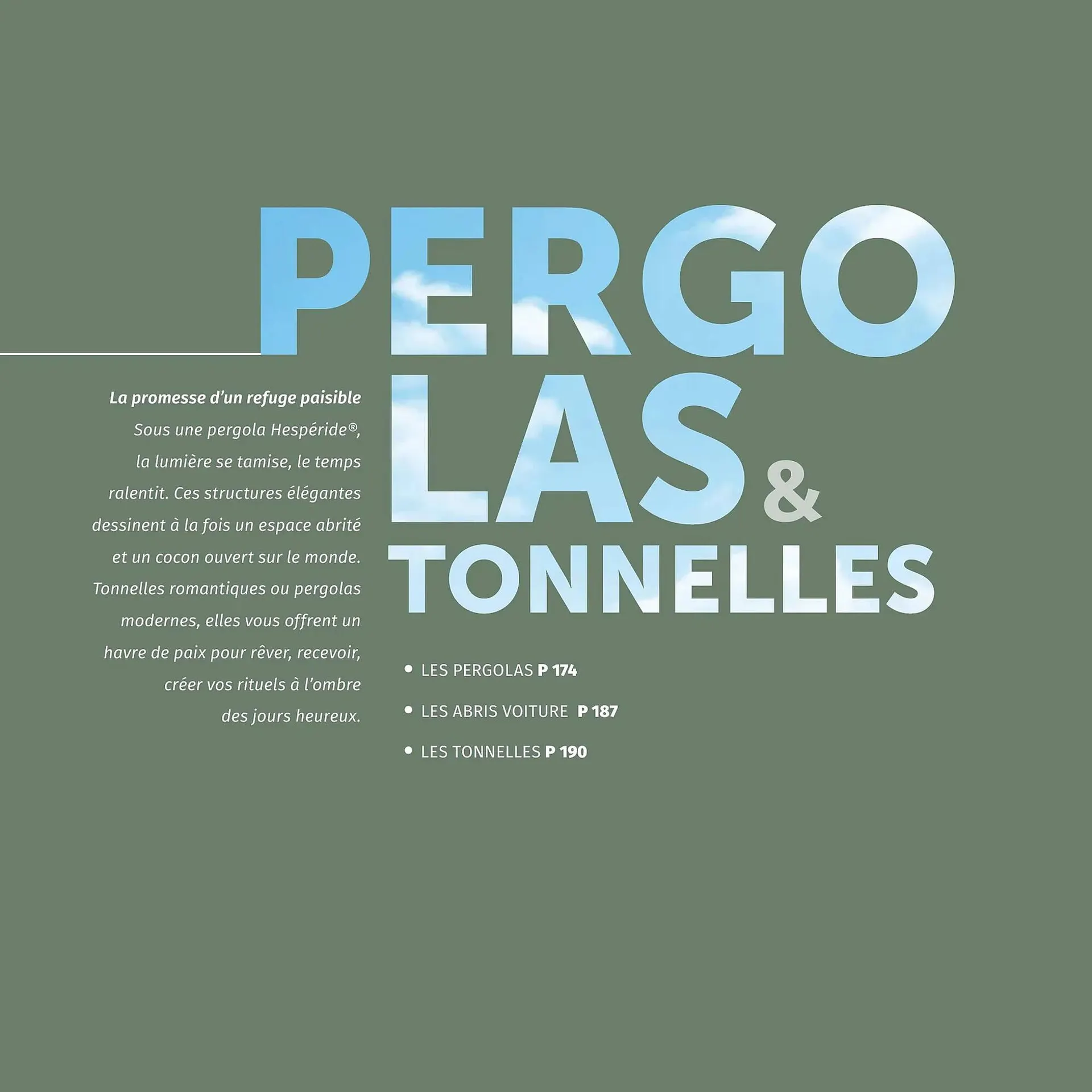 Catalogue Maxi Bazar du 9 février au 31 décembre 2026 - Catalogue page 173